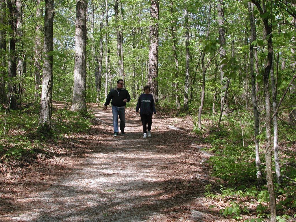 10 Princesa  Hot Springs Village, AR