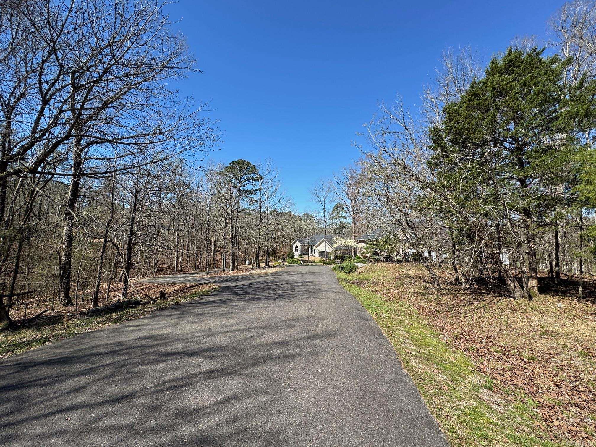 10 Princesa  Hot Springs Village, AR