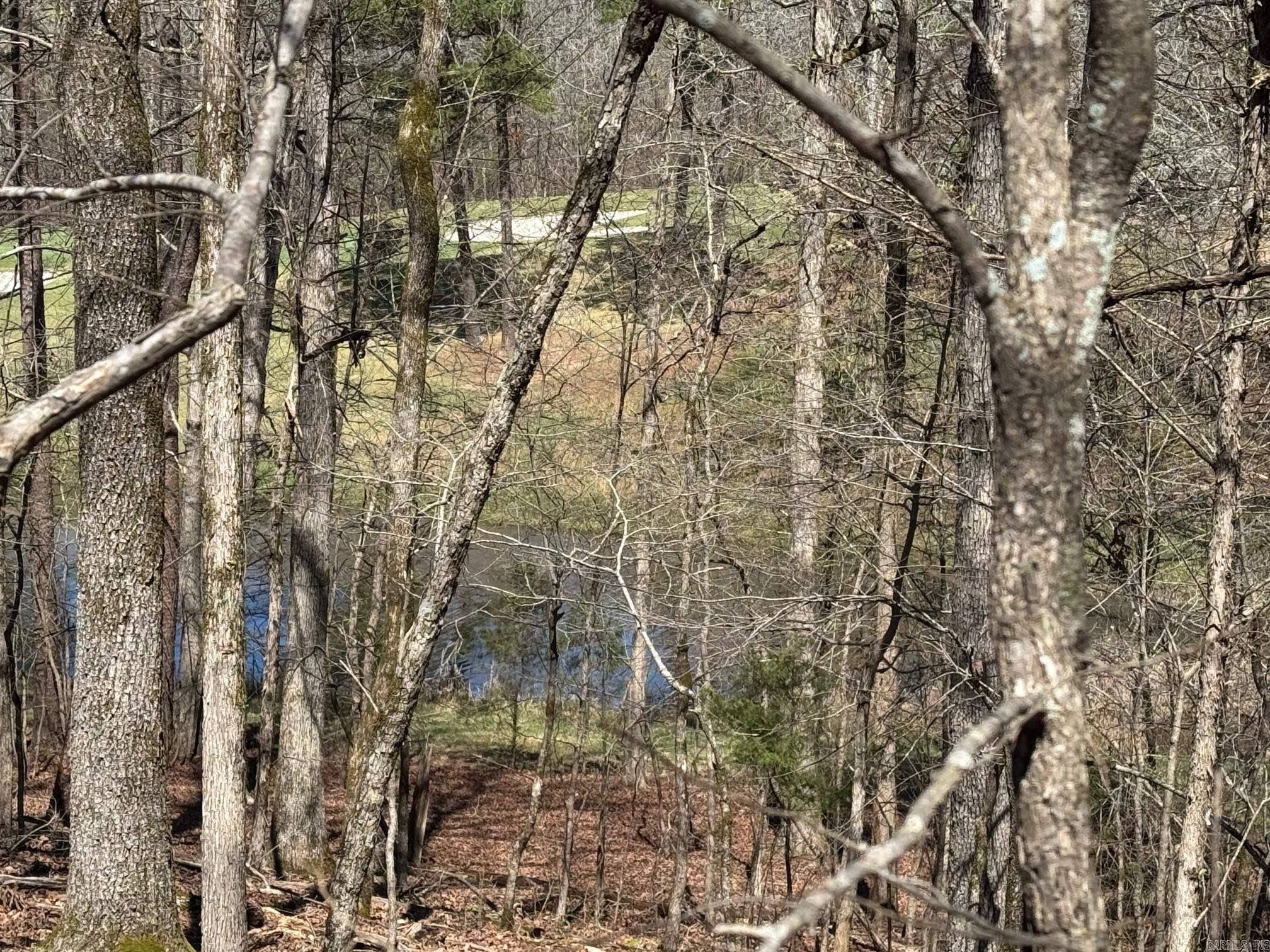 10 Princesa  Hot Springs Village, AR