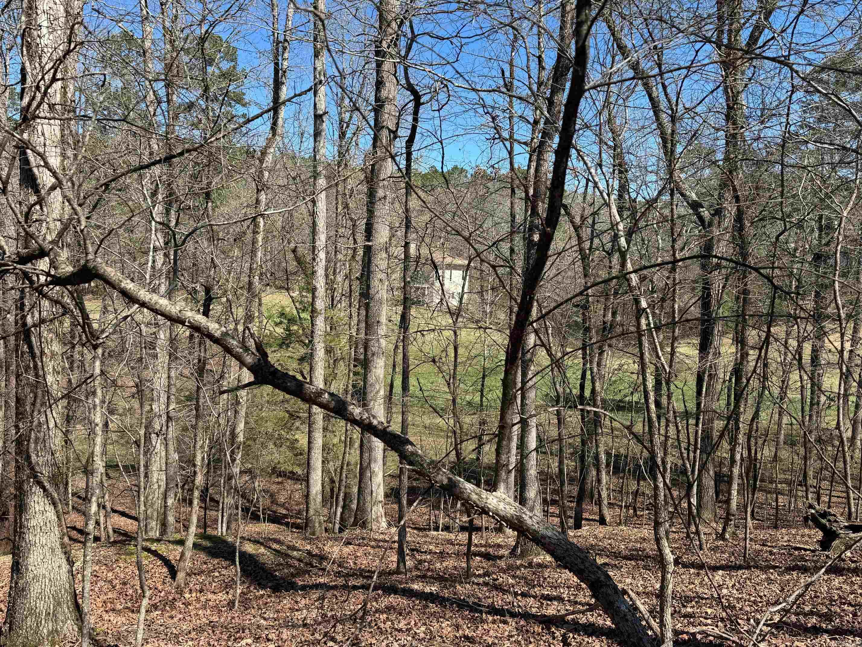 10 Princesa  Hot Springs Village, AR