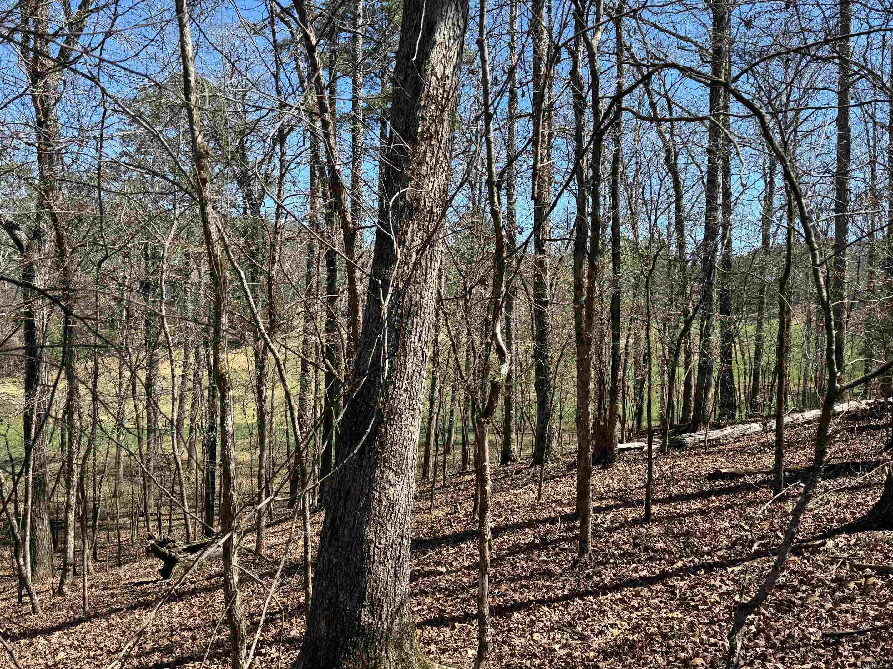 10 Princesa  Hot Springs Village, AR