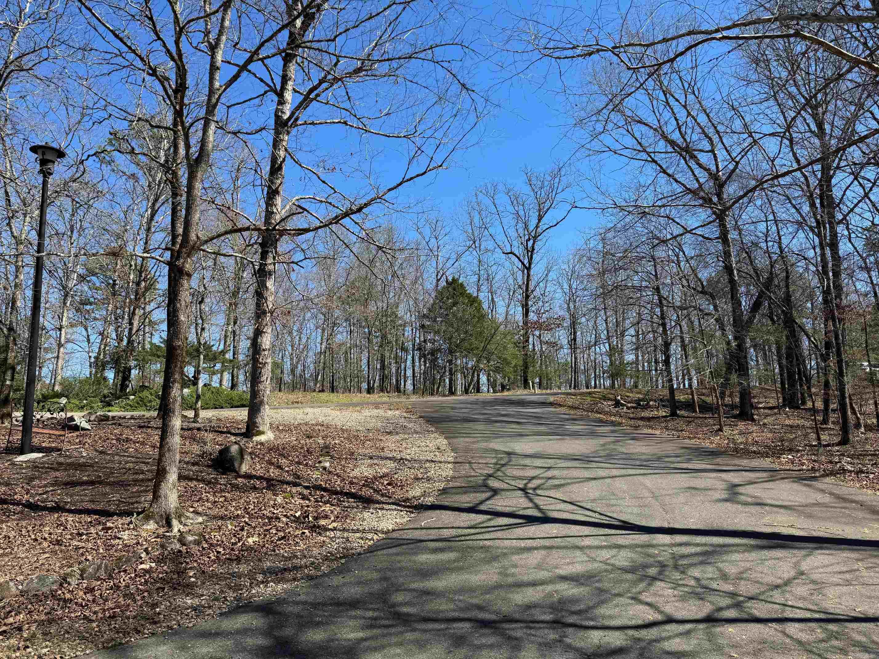 10 Princesa  Hot Springs Village, AR