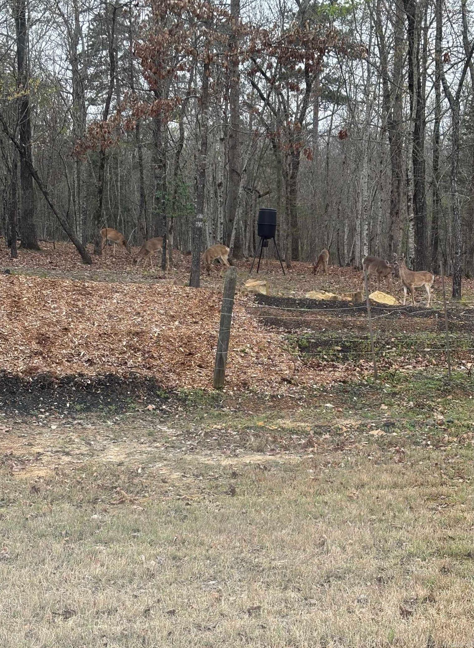 2547 Highway 9 S  Perryville, AR