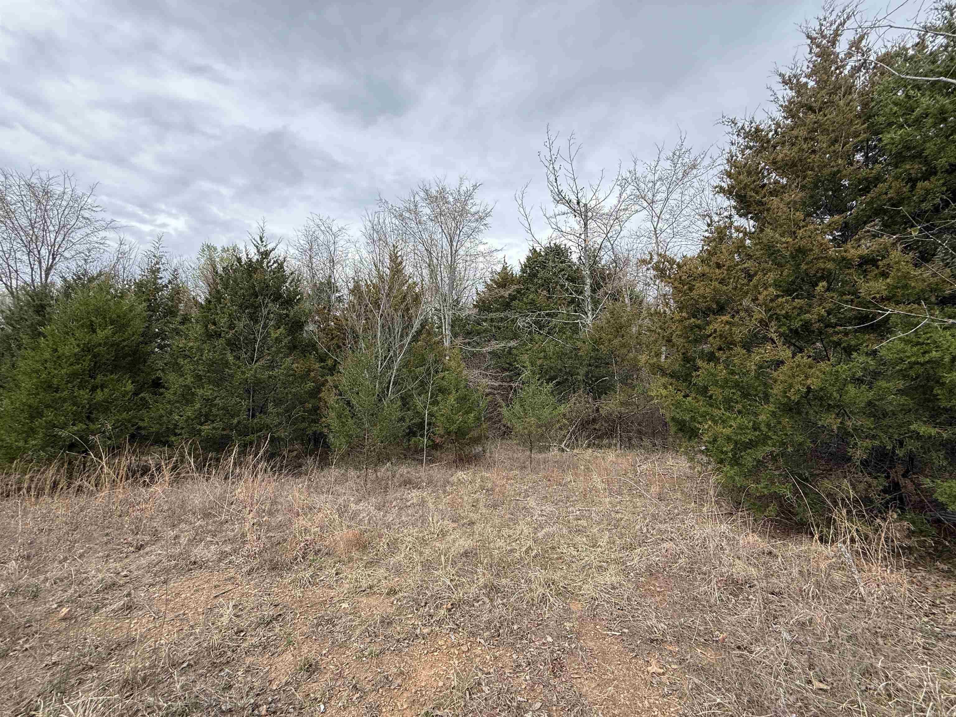 TBD Furniture Rd  Russellville, AR