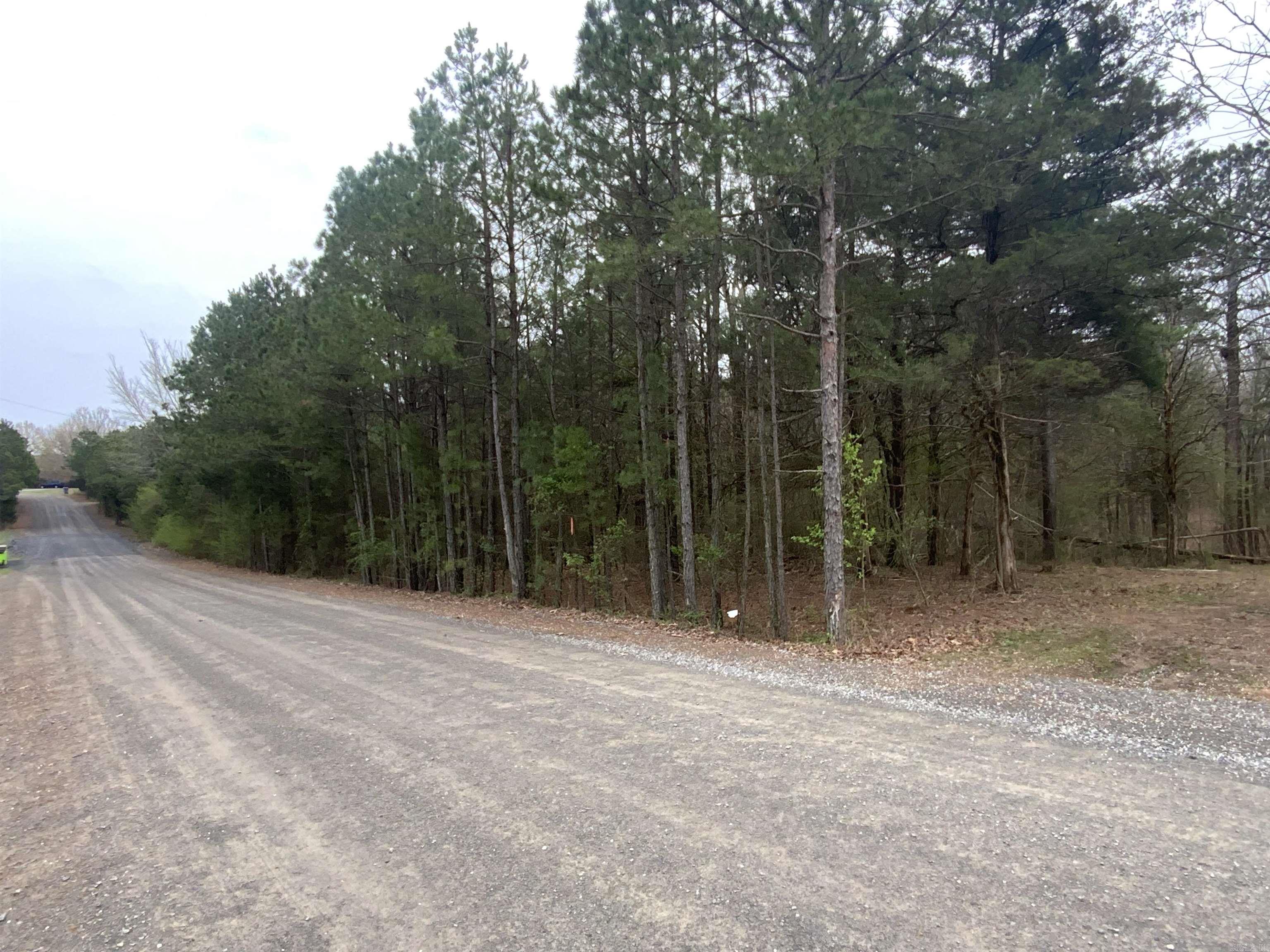 327 Pine Timber  Bee Branch, AR