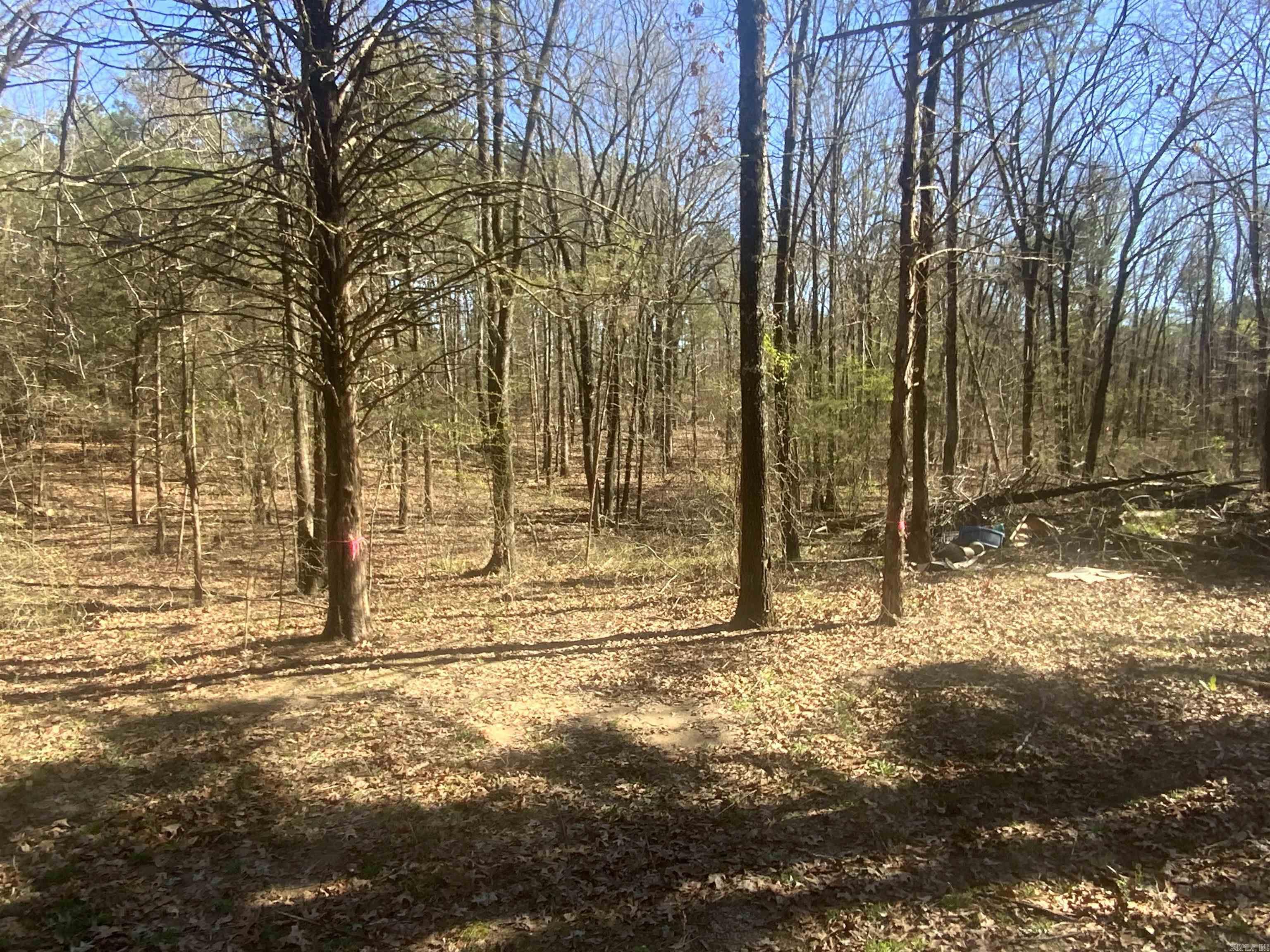 327 Pine Timber  Bee Branch, AR