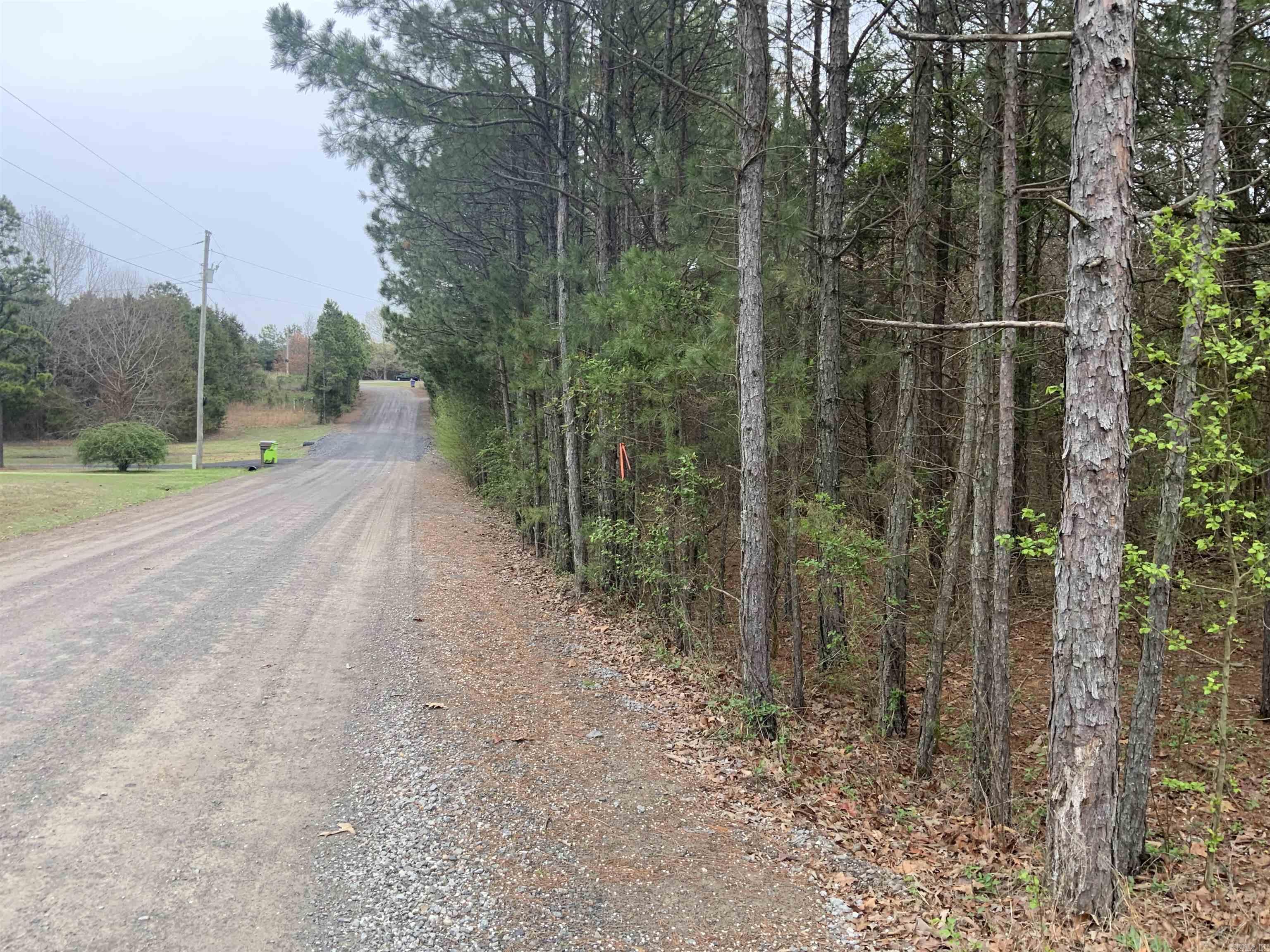 327 Pine Timber  Bee Branch, AR