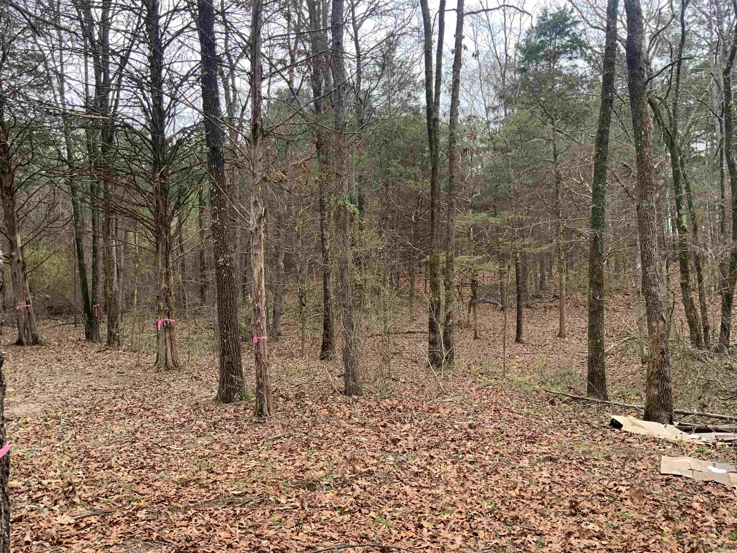 327 Pine Timber  Bee Branch, AR