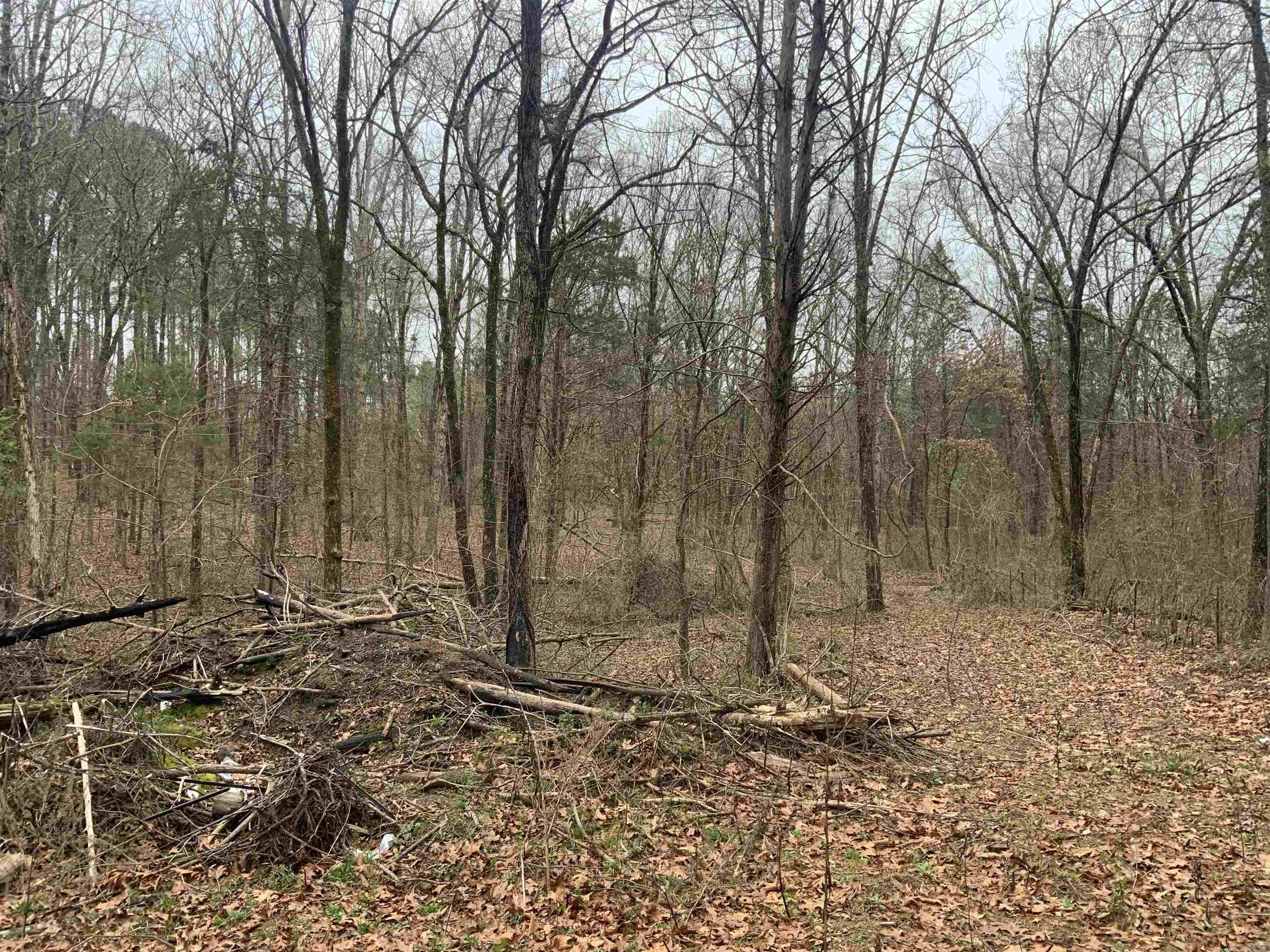 327 Pine Timber  Bee Branch, AR