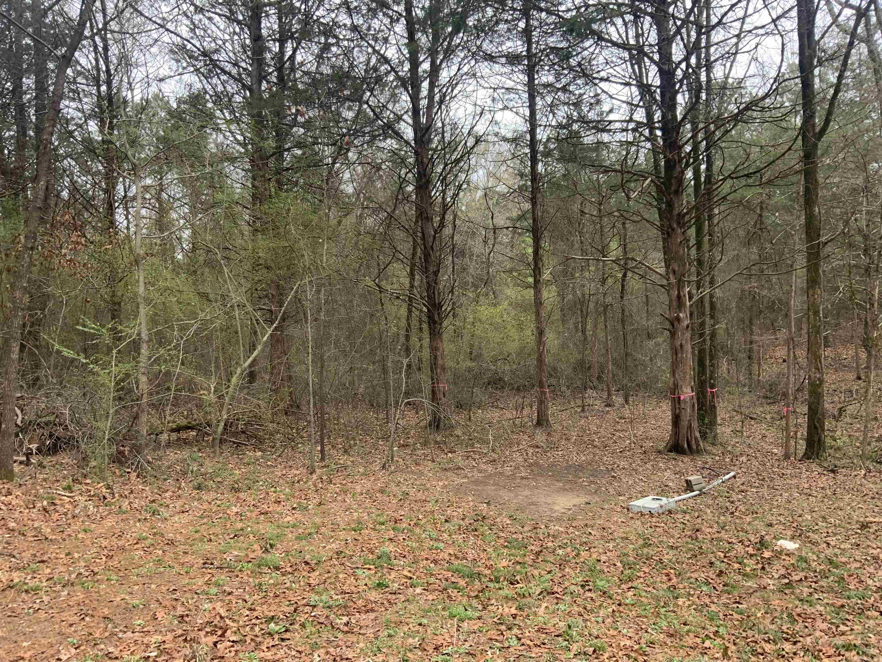 327 Pine Timber  Bee Branch, AR