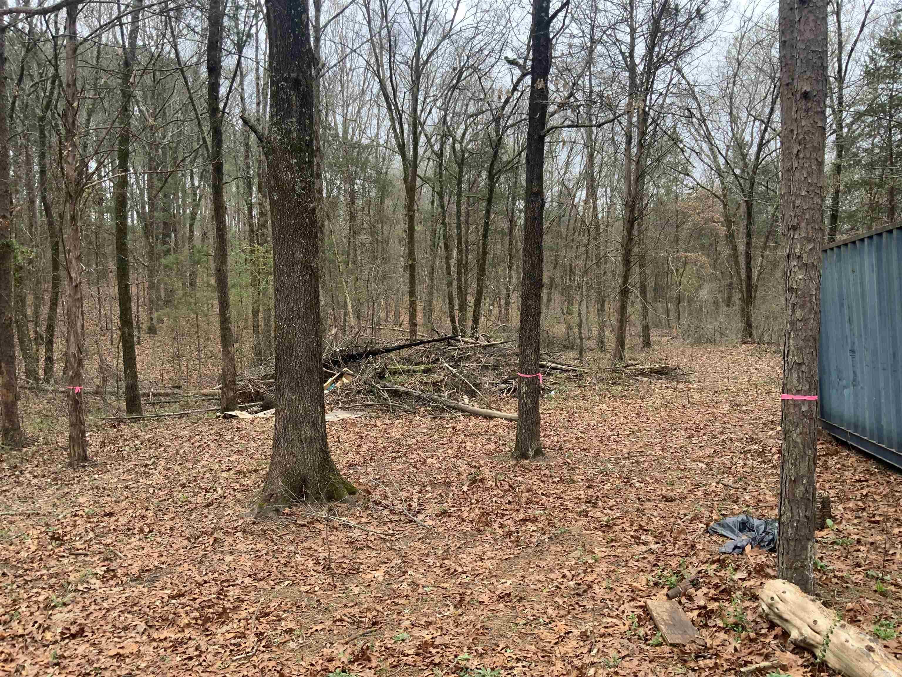 327 Pine Timber  Bee Branch, AR