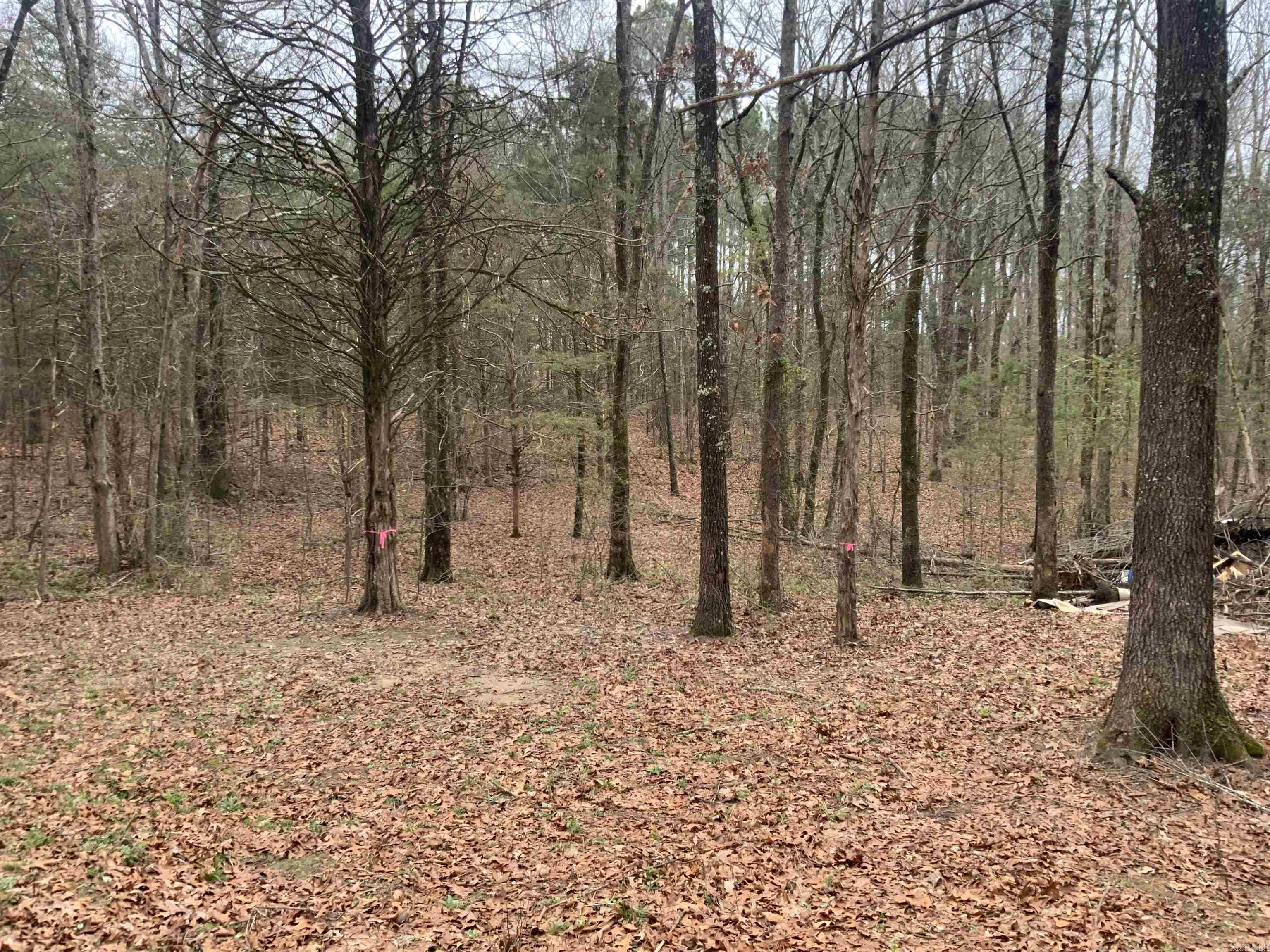 327 Pine Timber  Bee Branch, AR