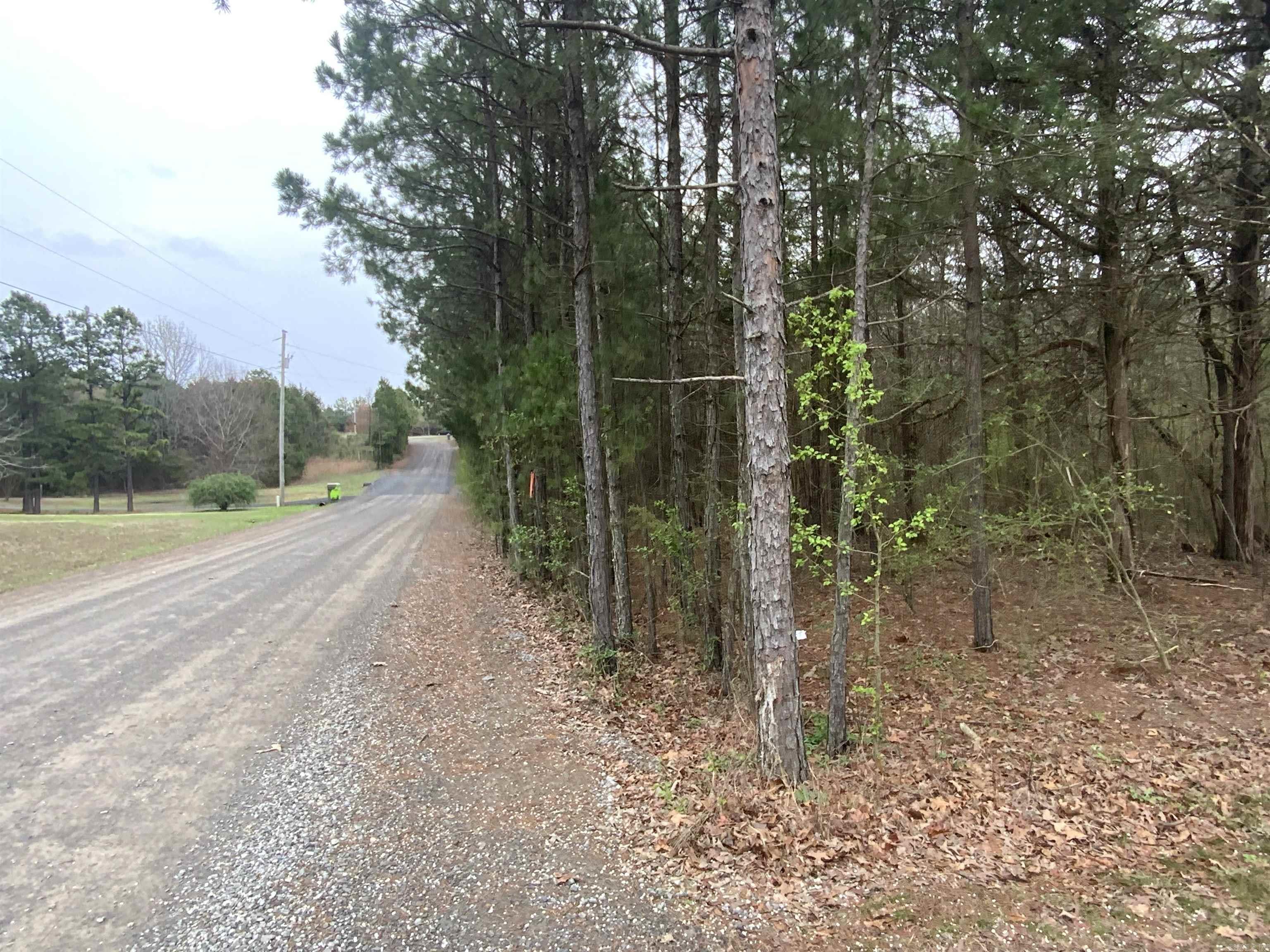 327 Pine Timber  Bee Branch, AR