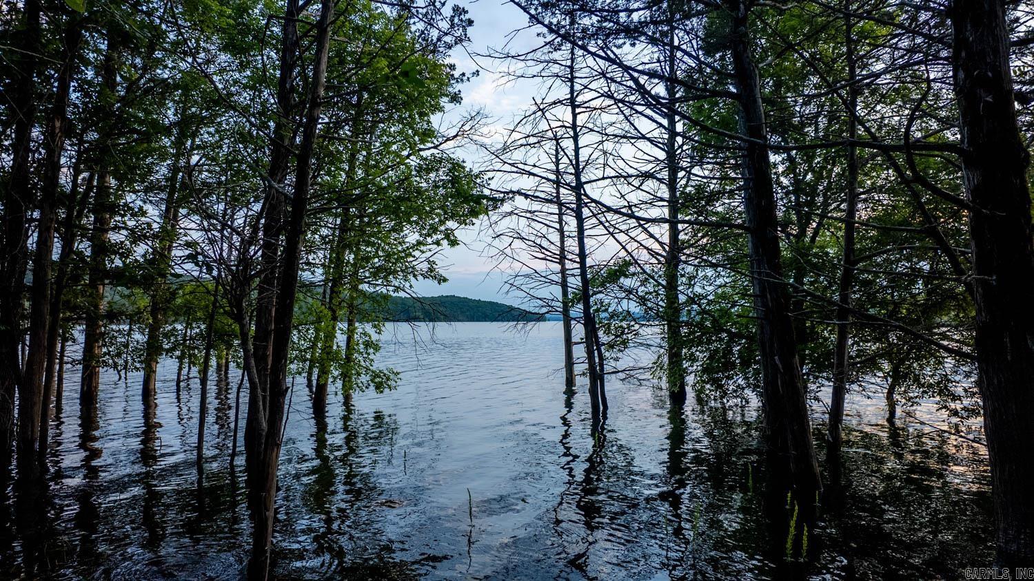 499 Noe Creek Road  Mountain Home, AR