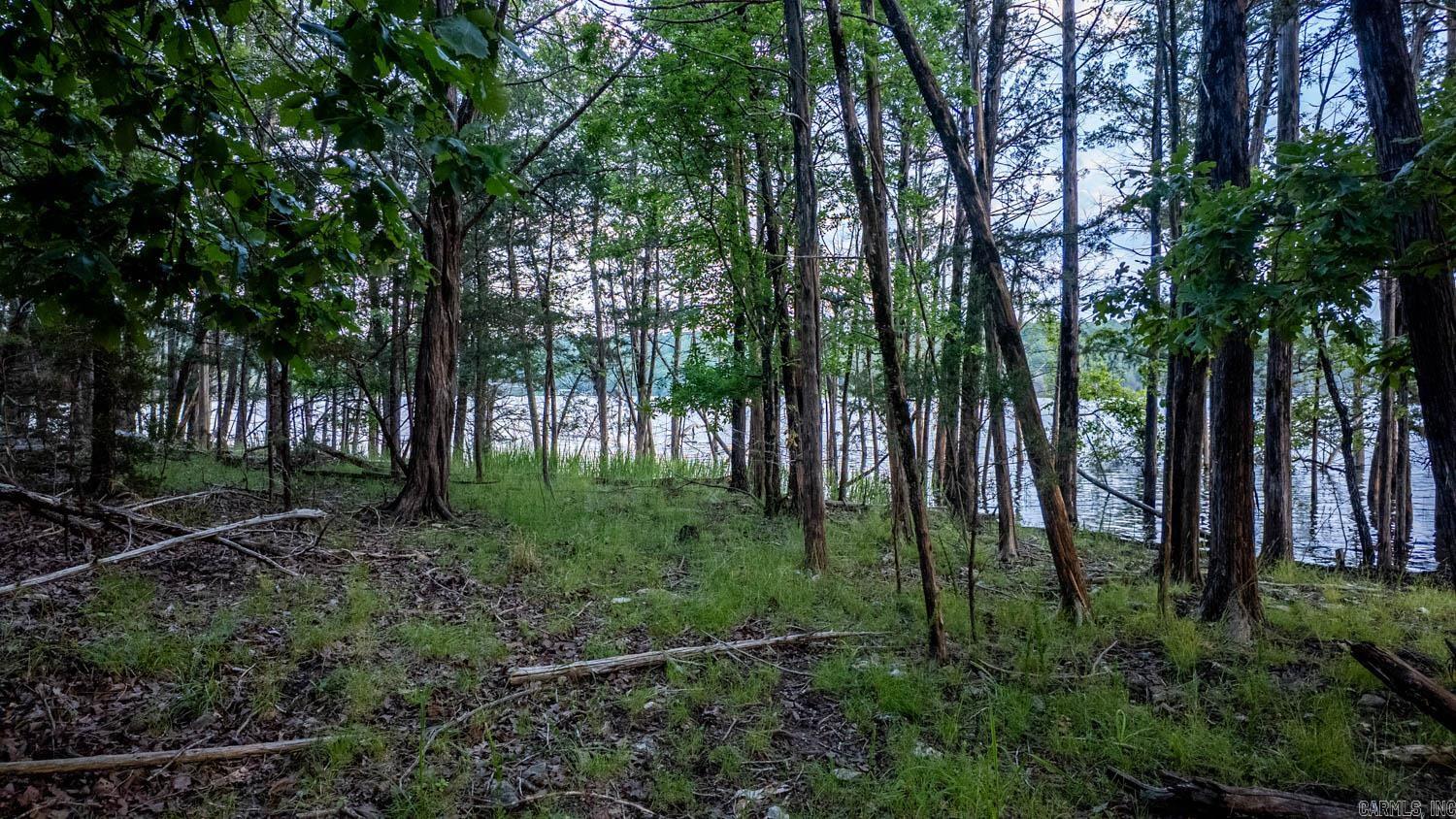 499 Noe Creek Road  Mountain Home, AR