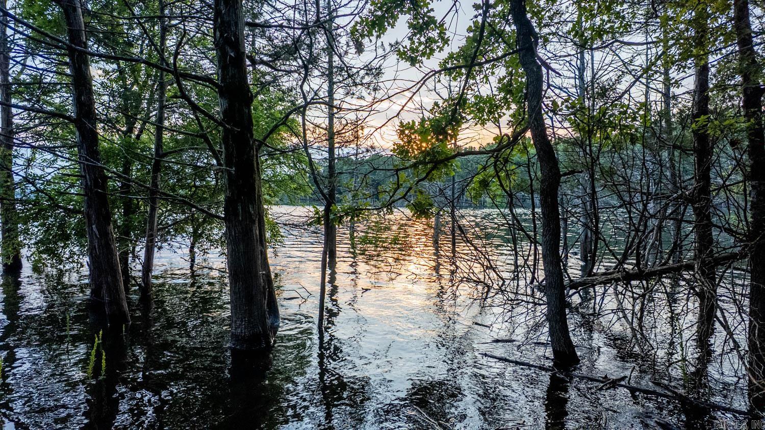 499 Noe Creek Road  Mountain Home, AR