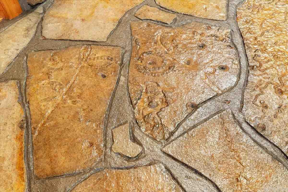 100 Trout Way  Judsonia, AR