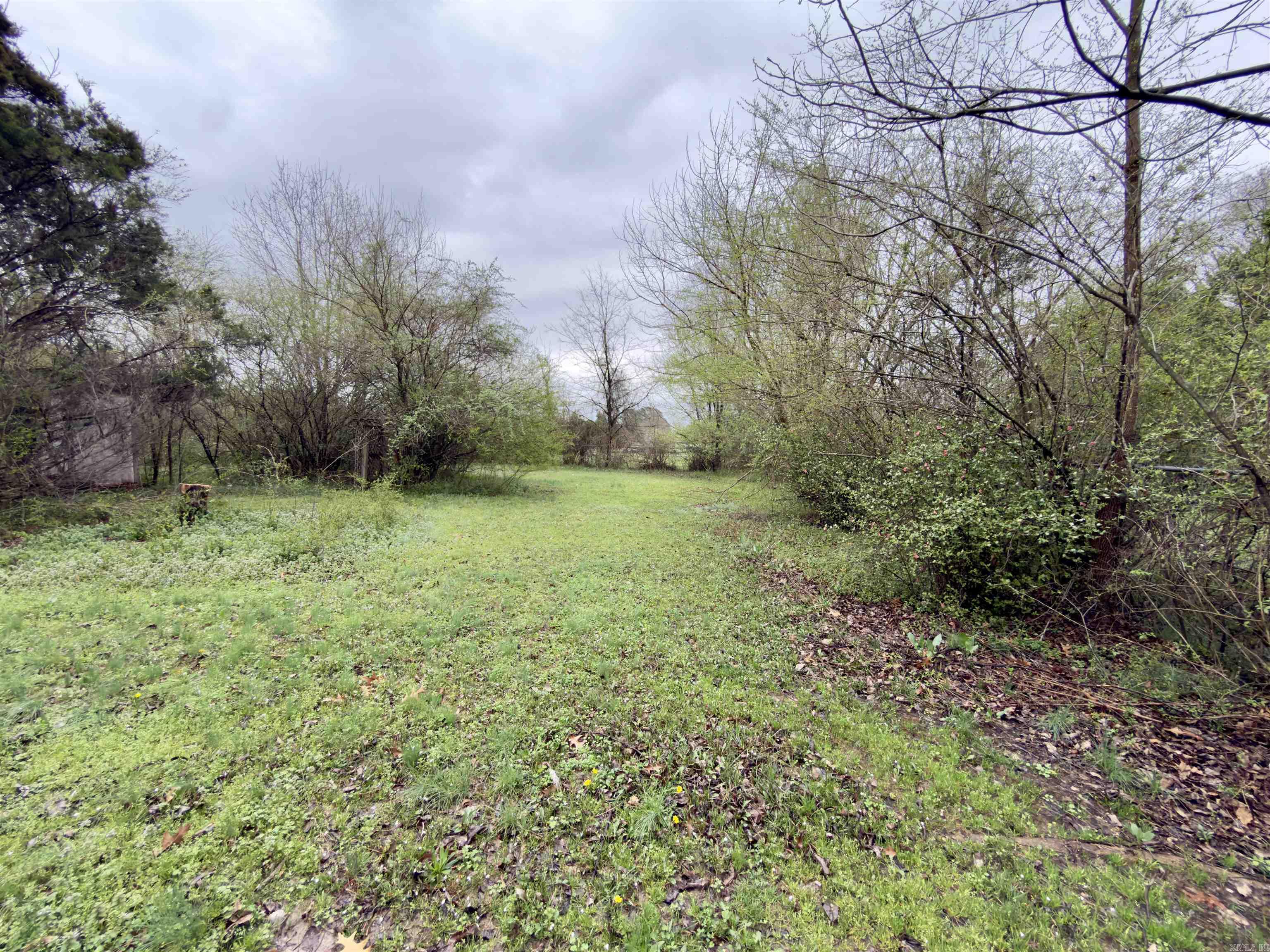 1309 Charles St  Paragould, AR