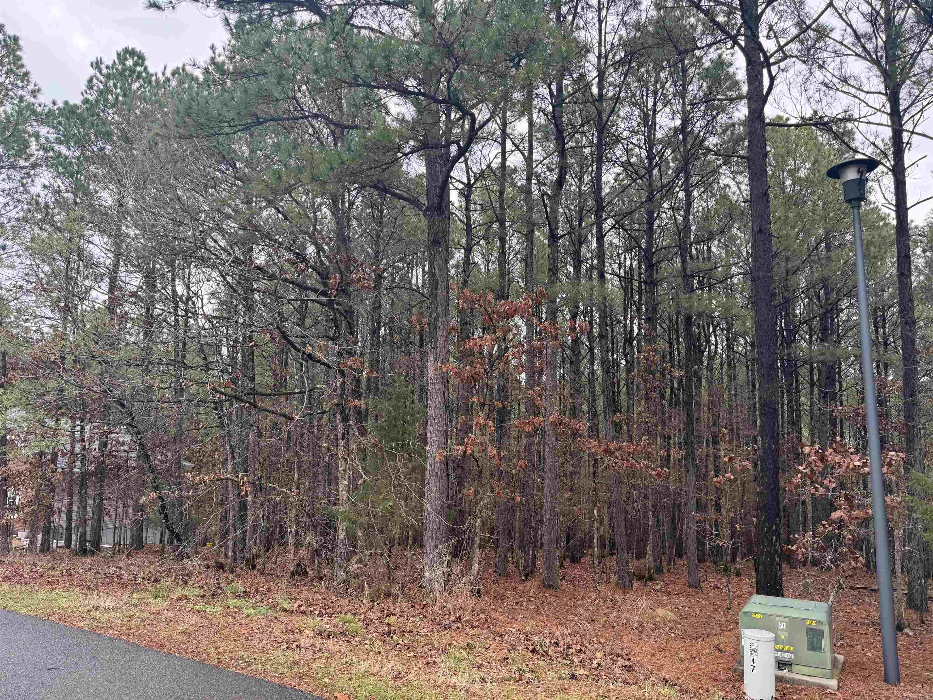 45 Largo  Hot Springs Village, AR