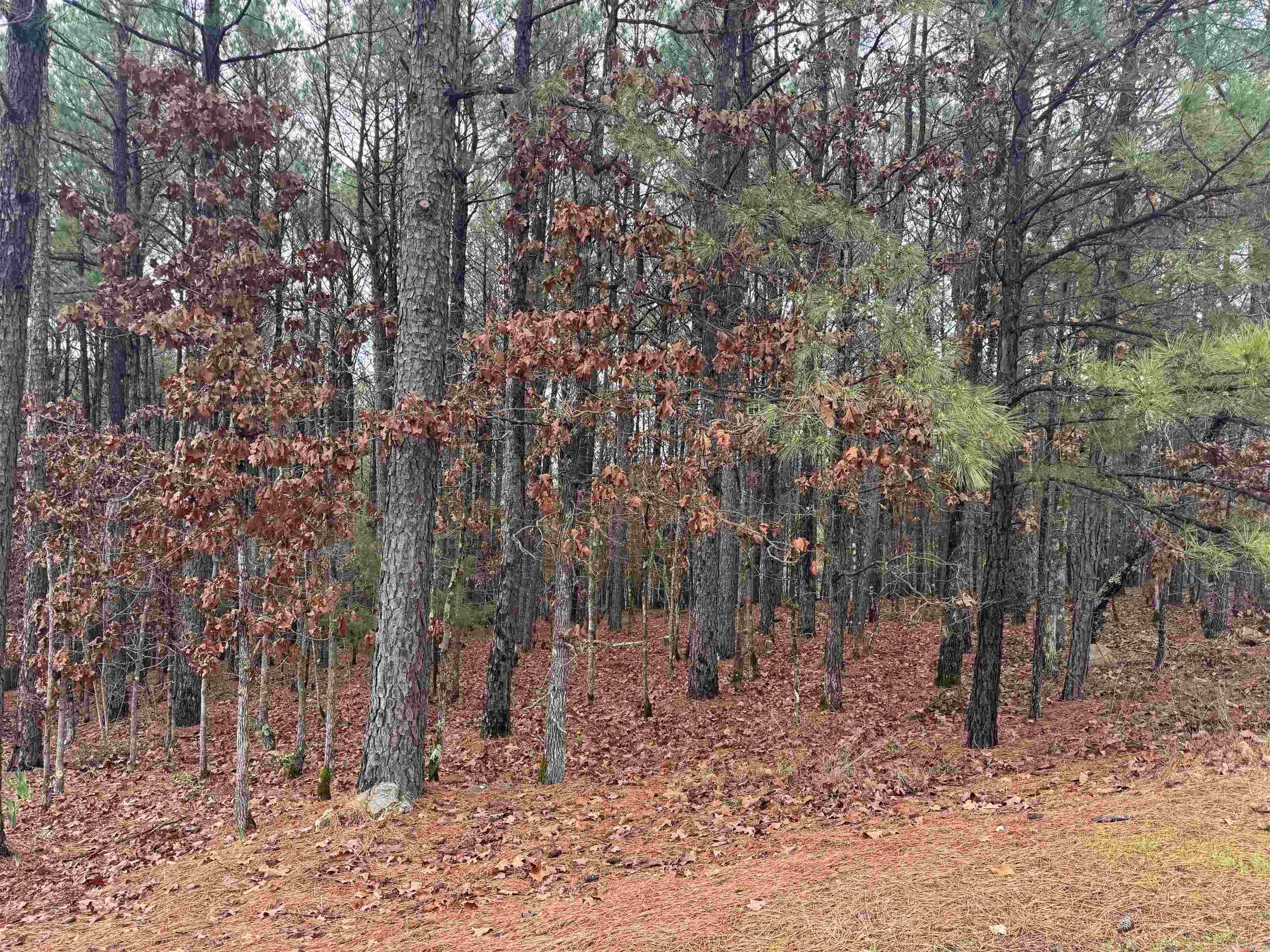 45 Largo  Hot Springs Village, AR