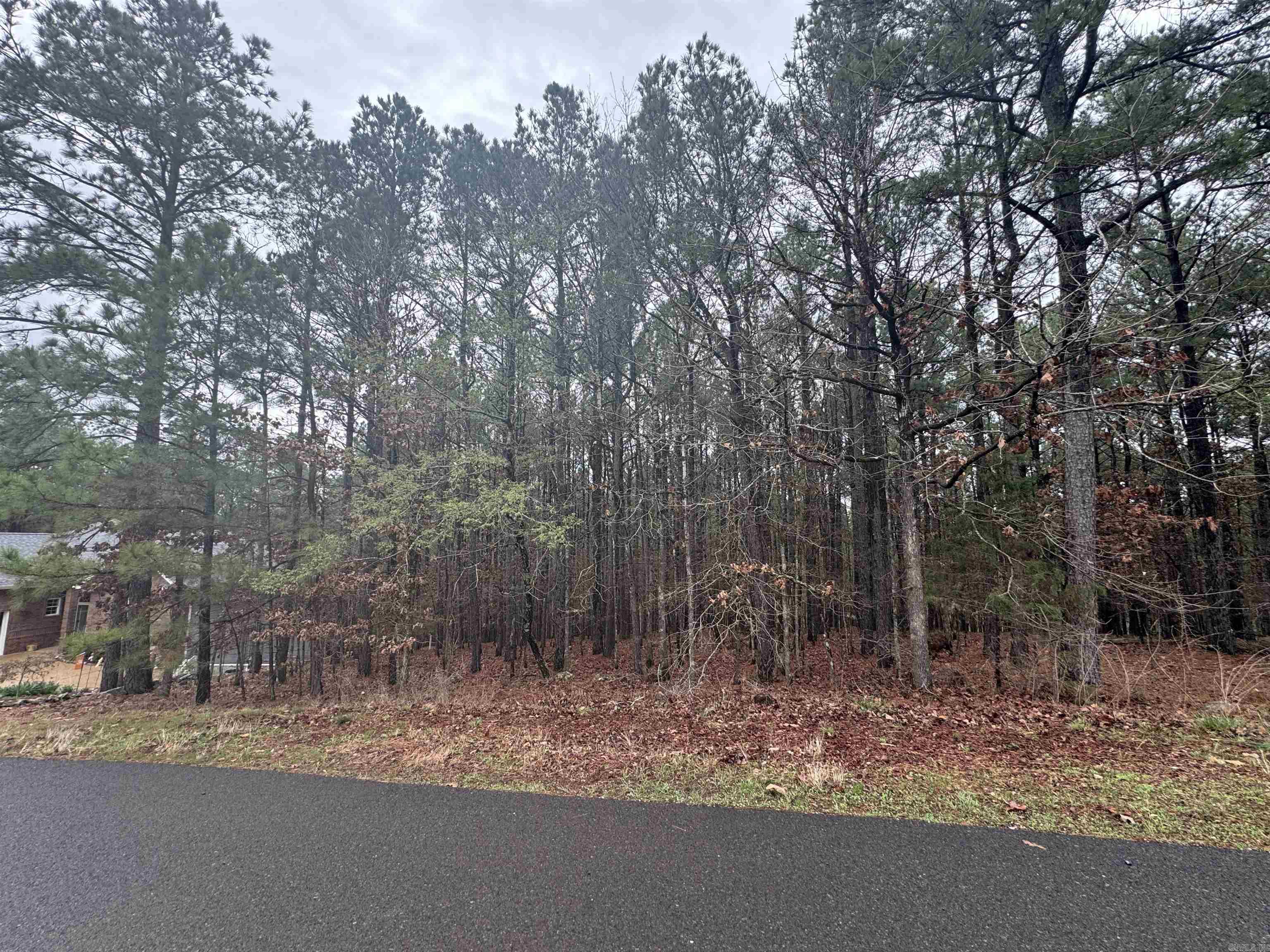 45 Largo  Hot Springs Village, AR