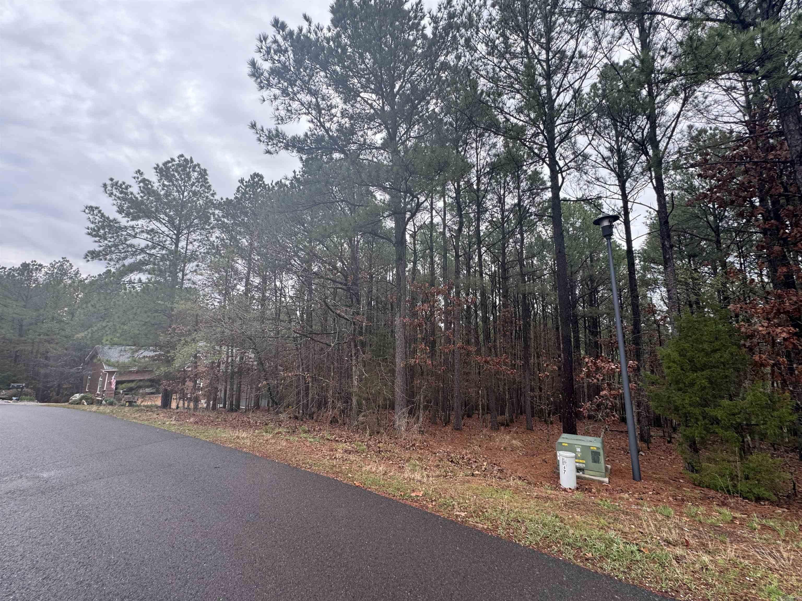 45 Largo  Hot Springs Village, AR