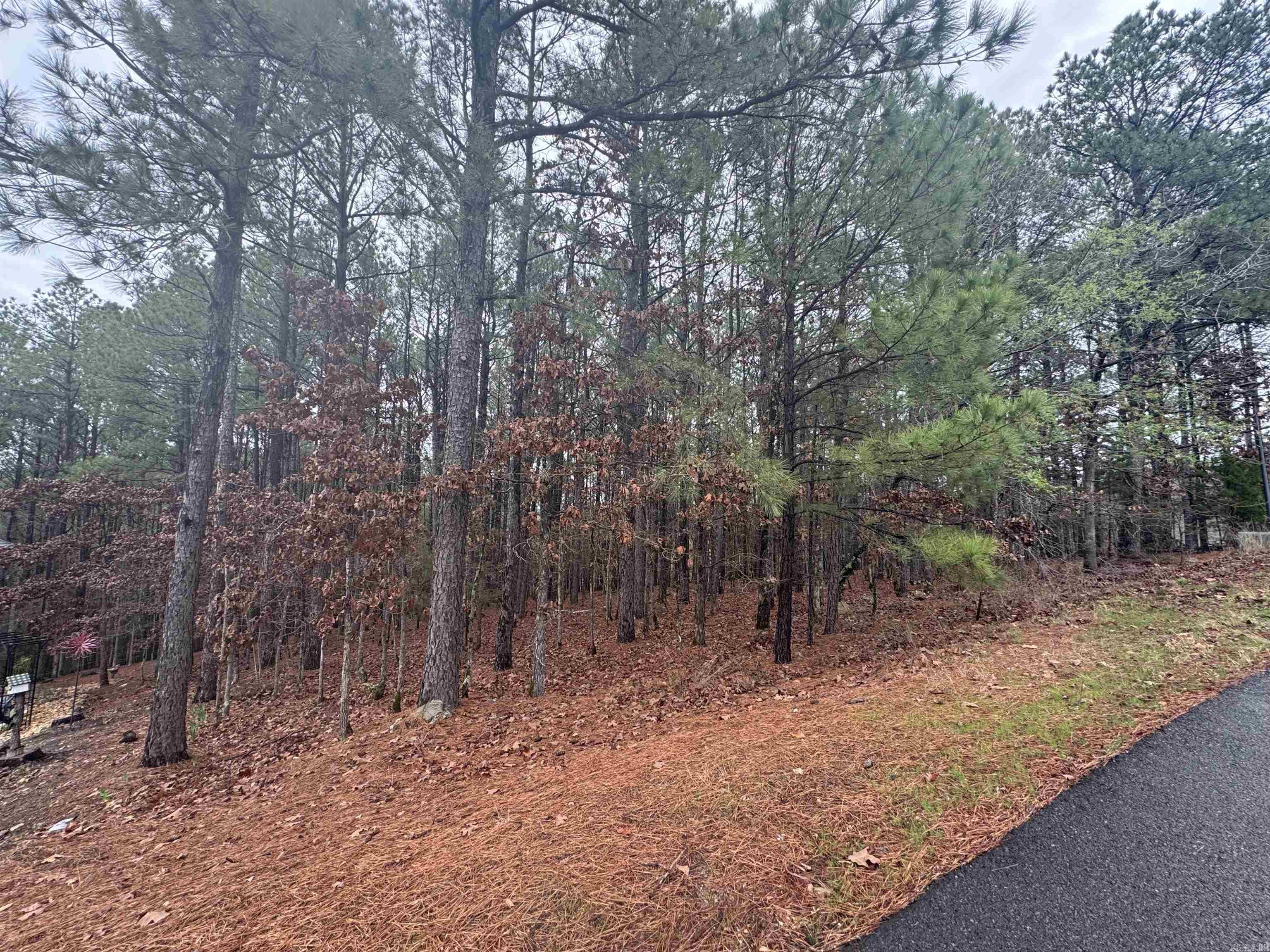 45 Largo  Hot Springs Village, AR