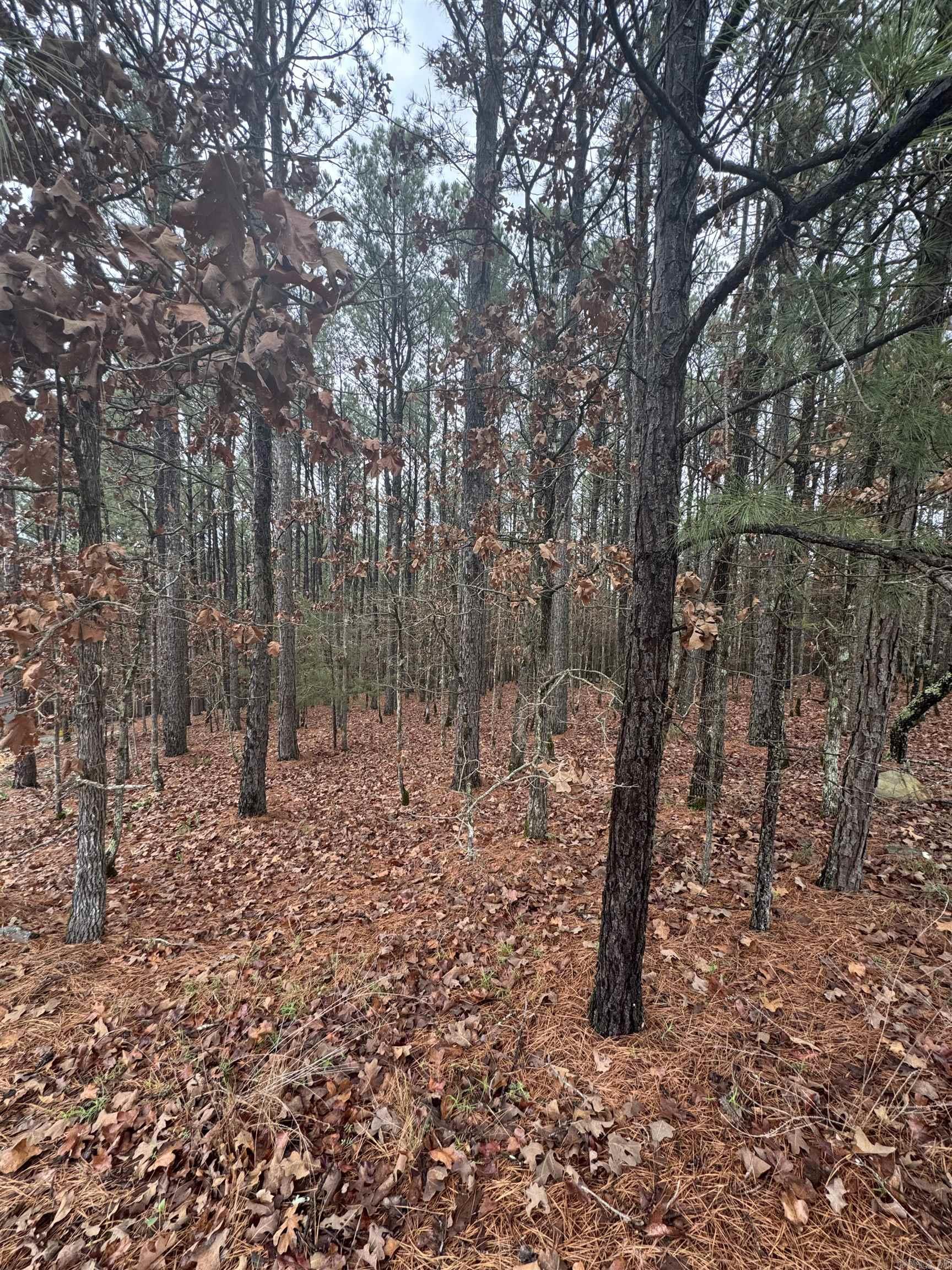 45 Largo  Hot Springs Village, AR