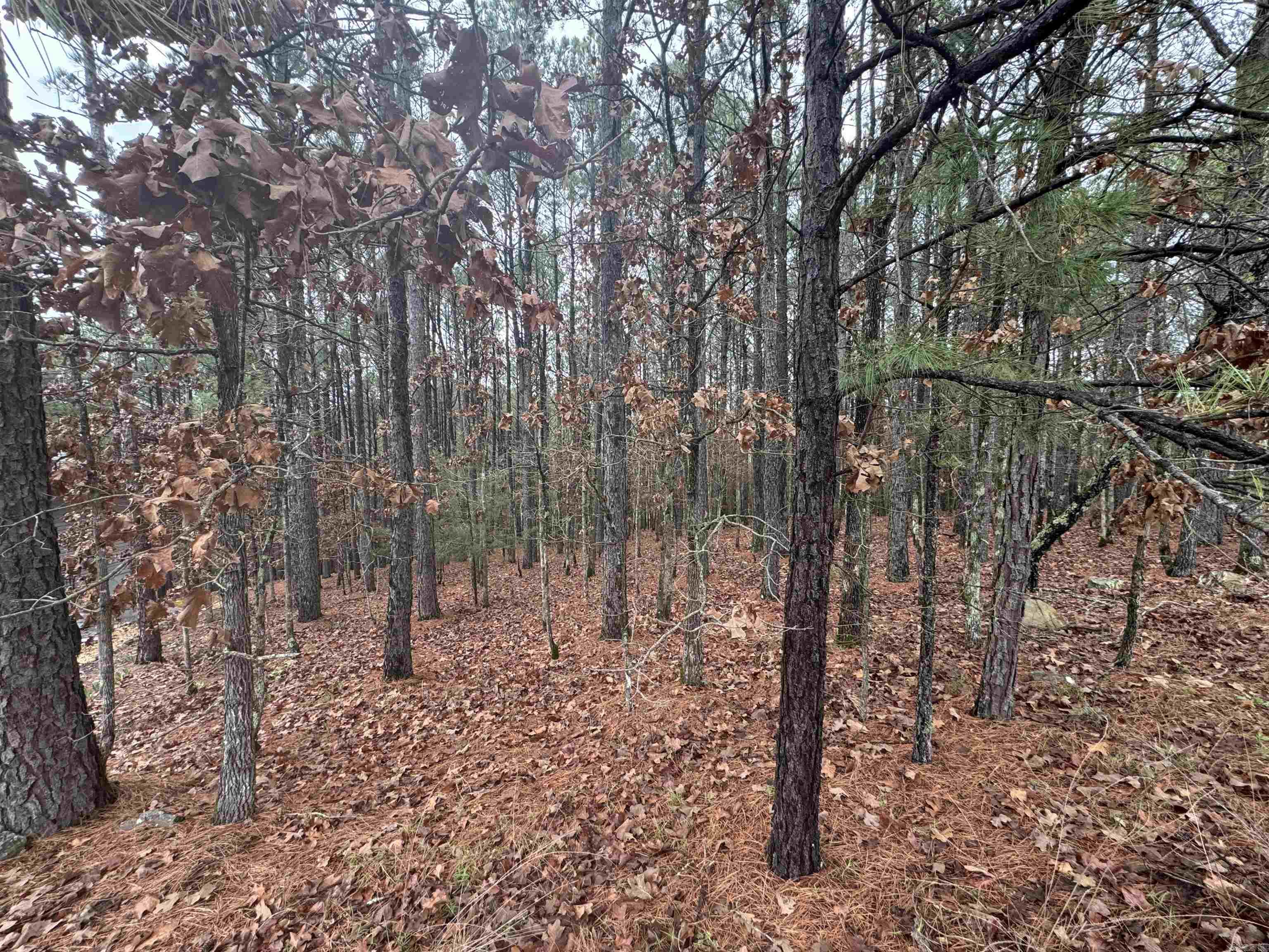 45 Largo  Hot Springs Village, AR