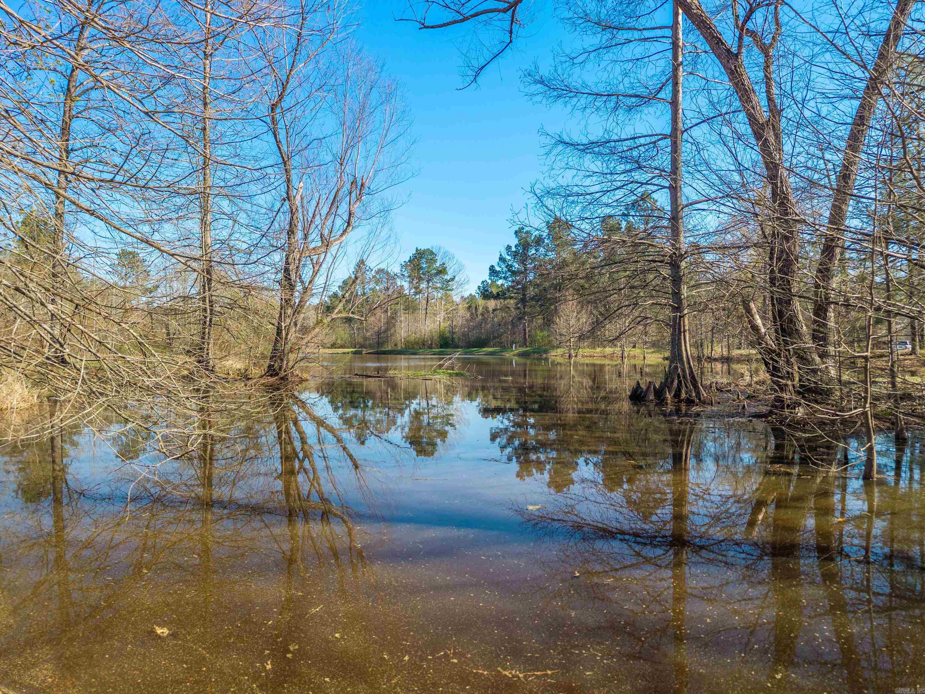 590 Heritage  Woodlawn, AR