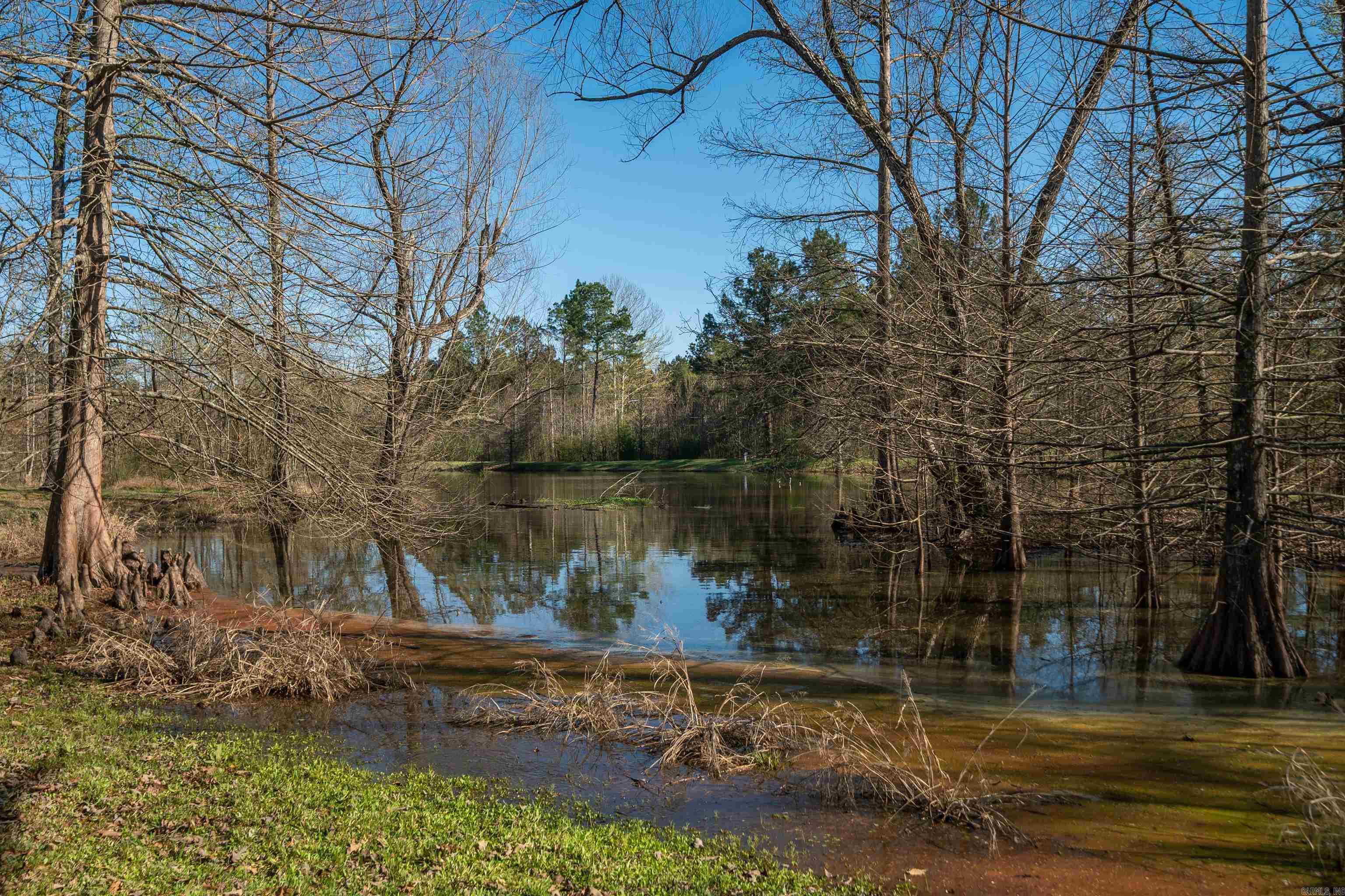 590 Heritage  Woodlawn, AR