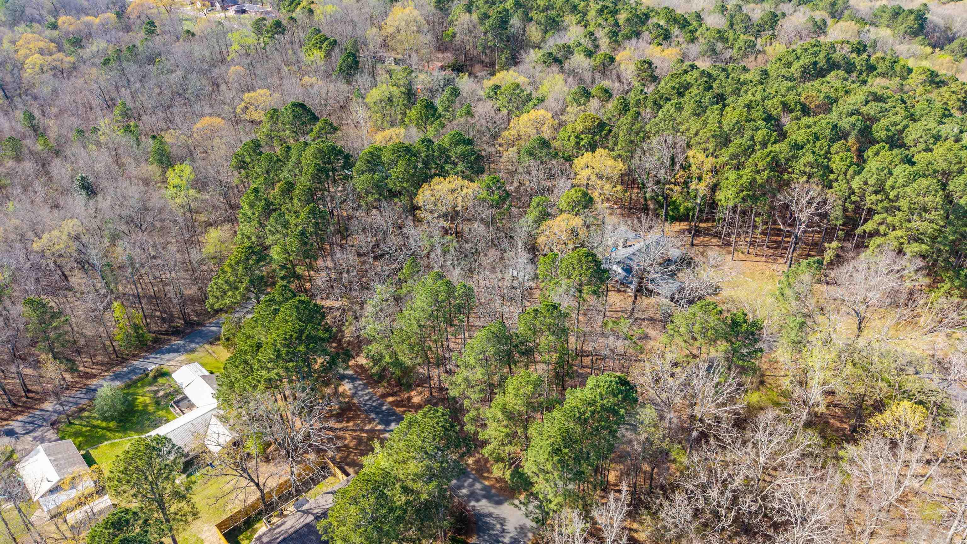 1215 Mary  Glenwood, AR