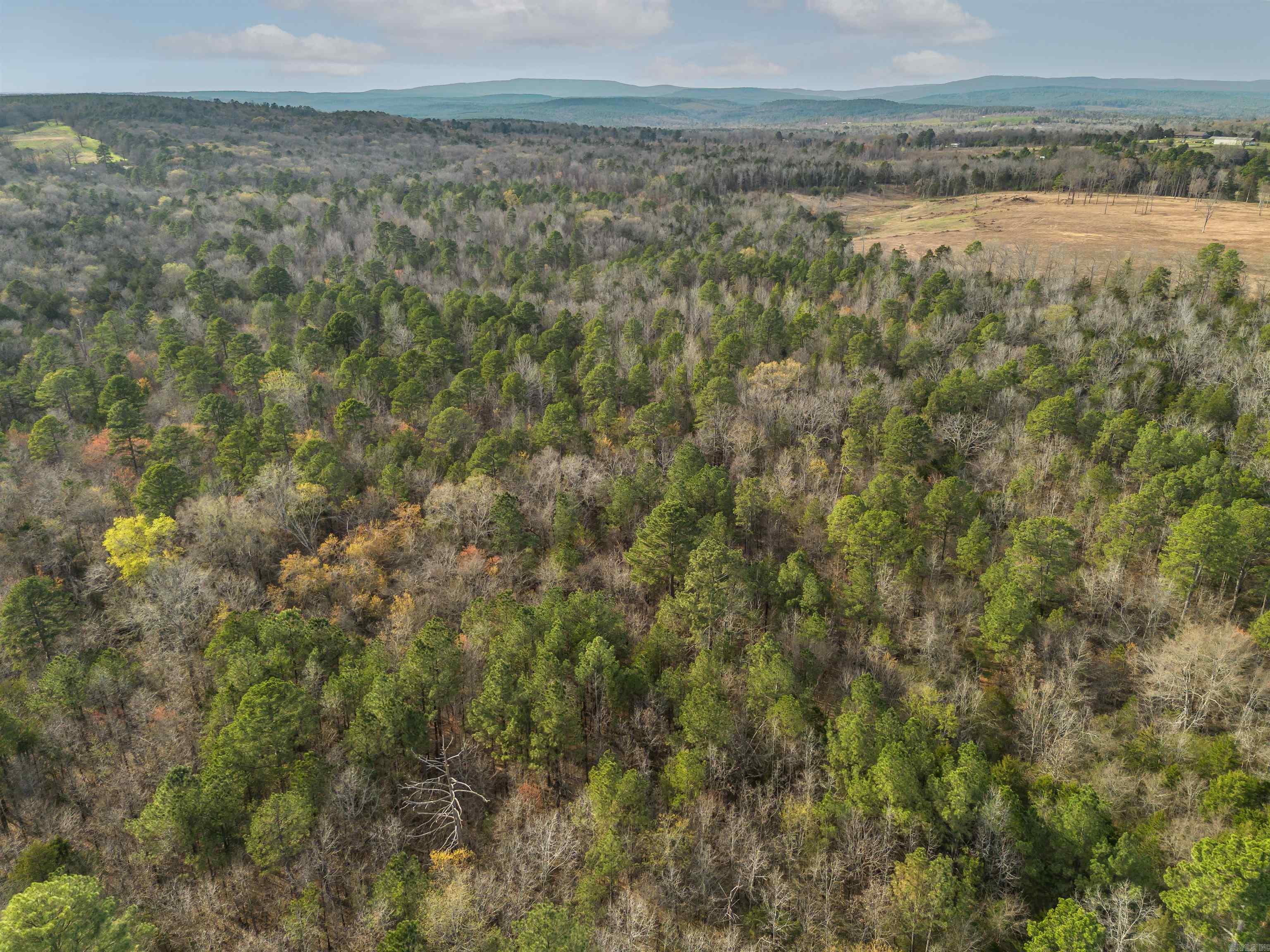 00 HWY 95  Cleveland, AR