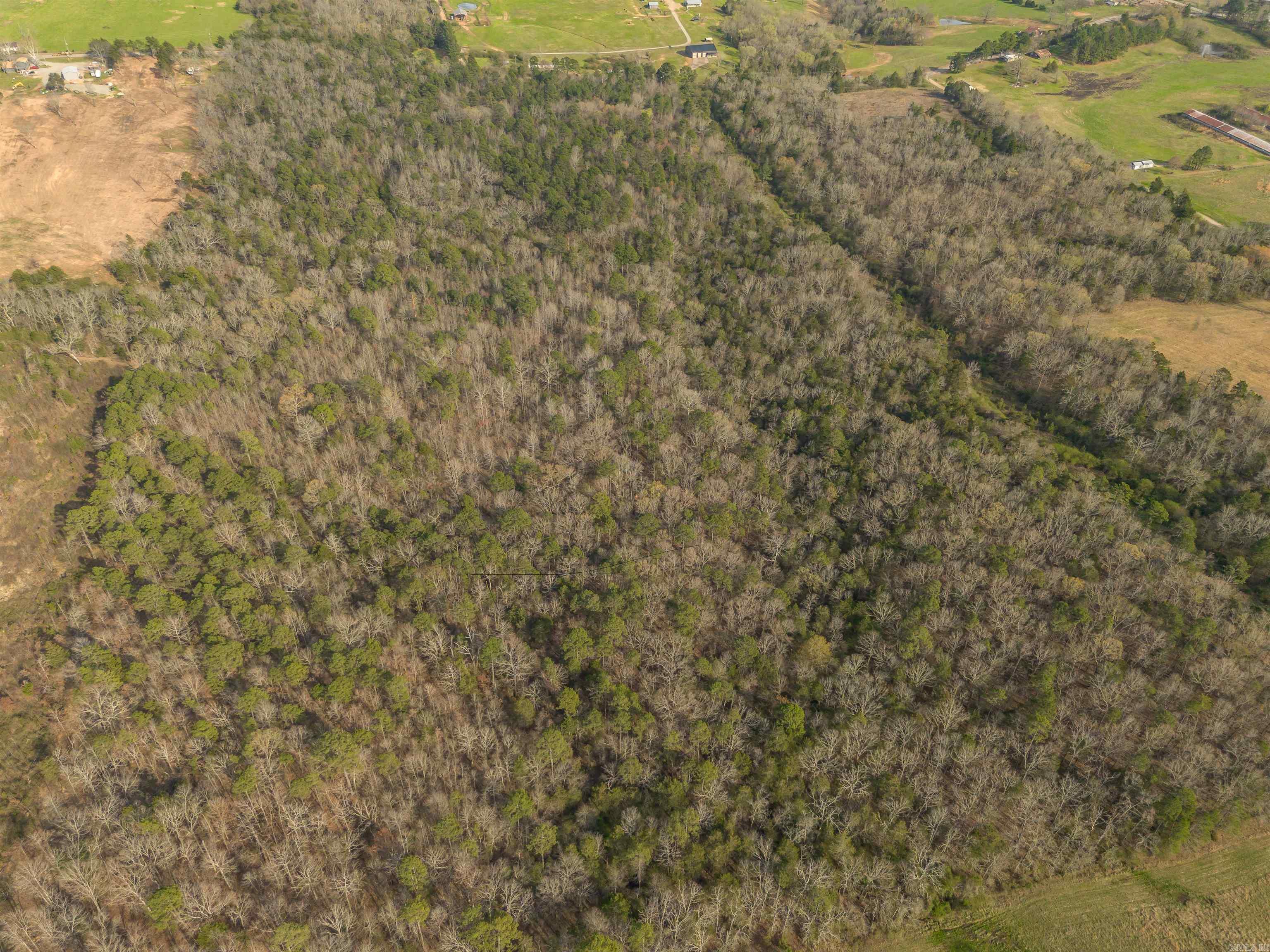 00 HWY 95  Cleveland, AR