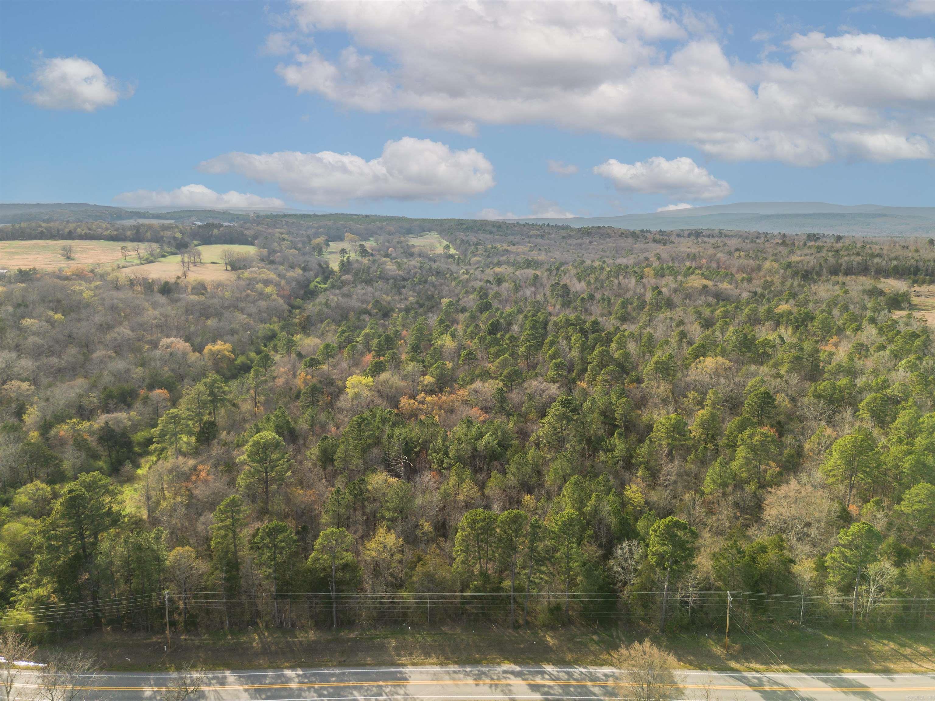 0 HWY 95  Cleveland, AR