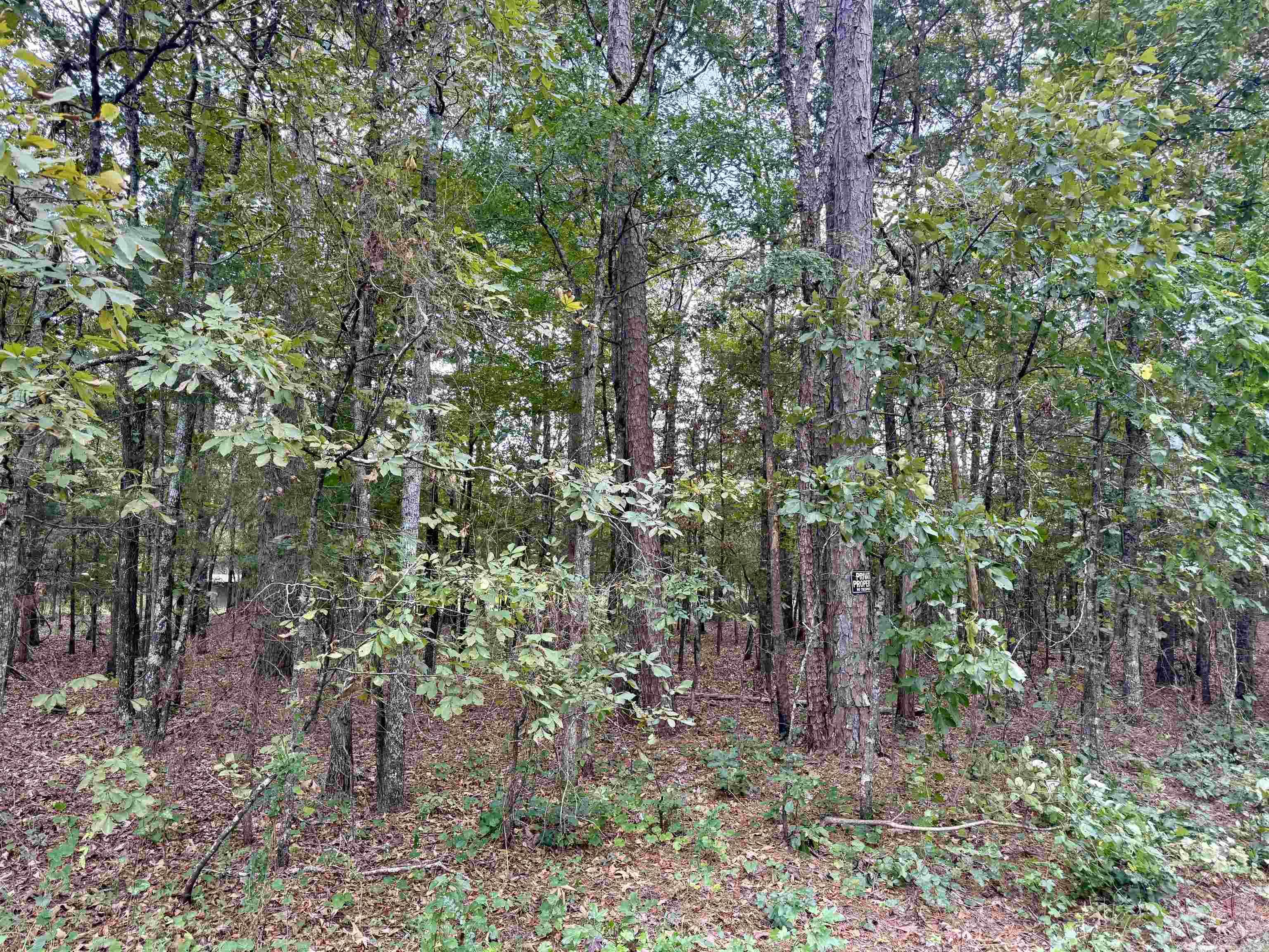 Lot 5 & 6 Ellen  Higden, AR