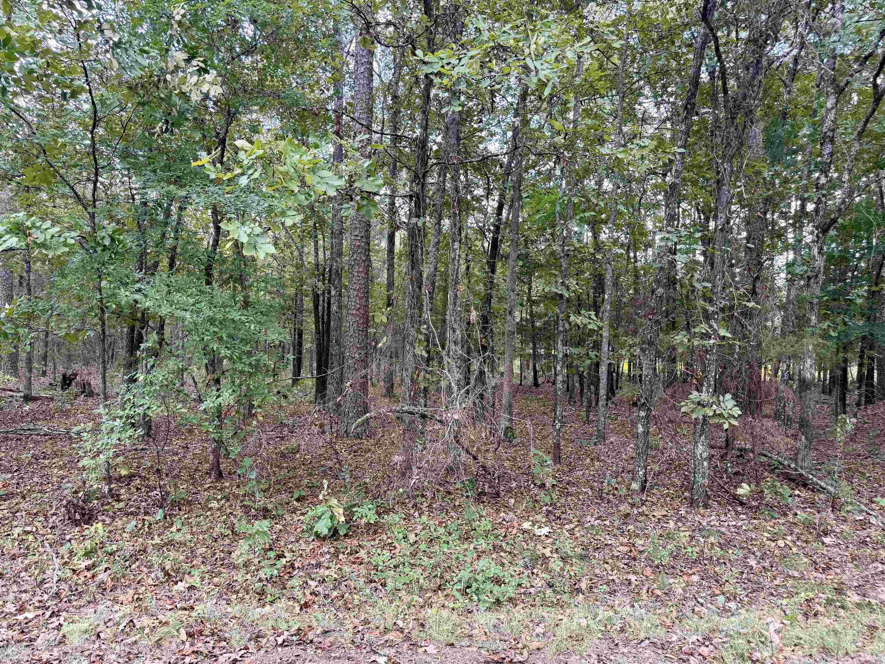 Lot 5 & 6 Ellen  Higden, AR