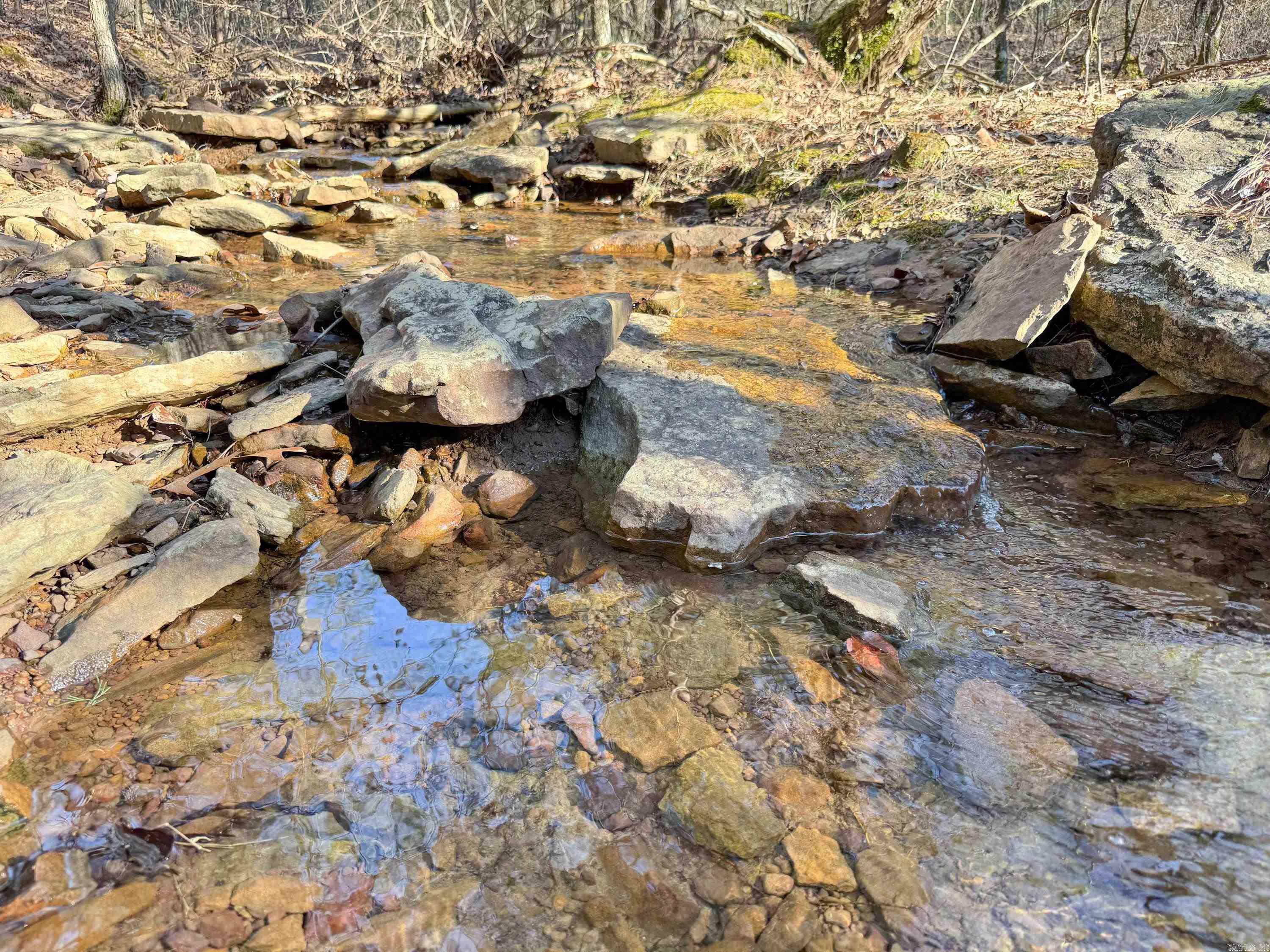 100 Guy  Quitman, AR