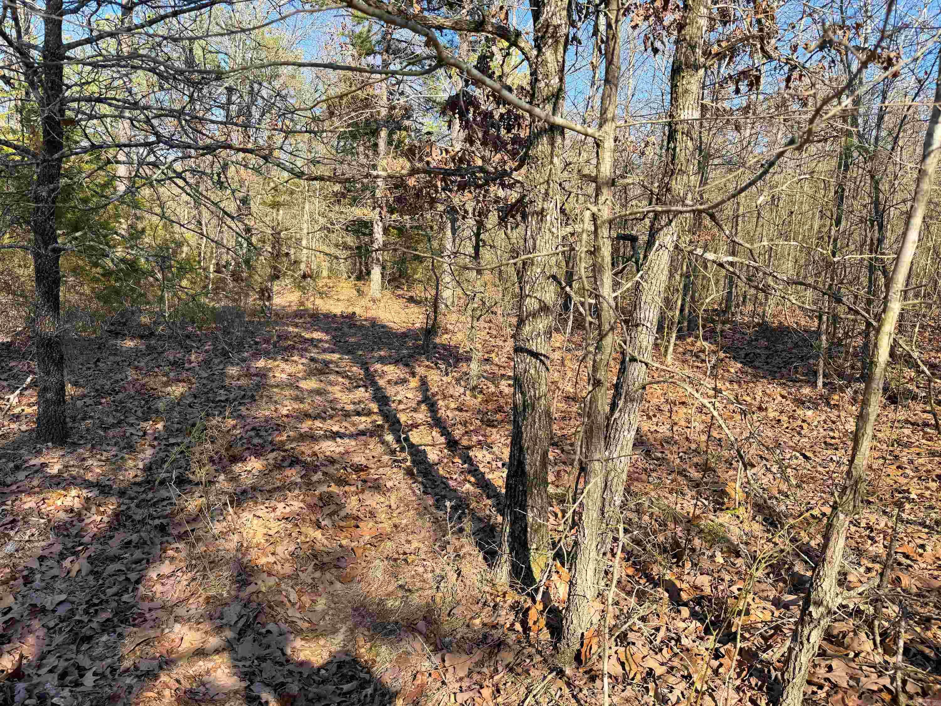 100 Guy  Quitman, AR