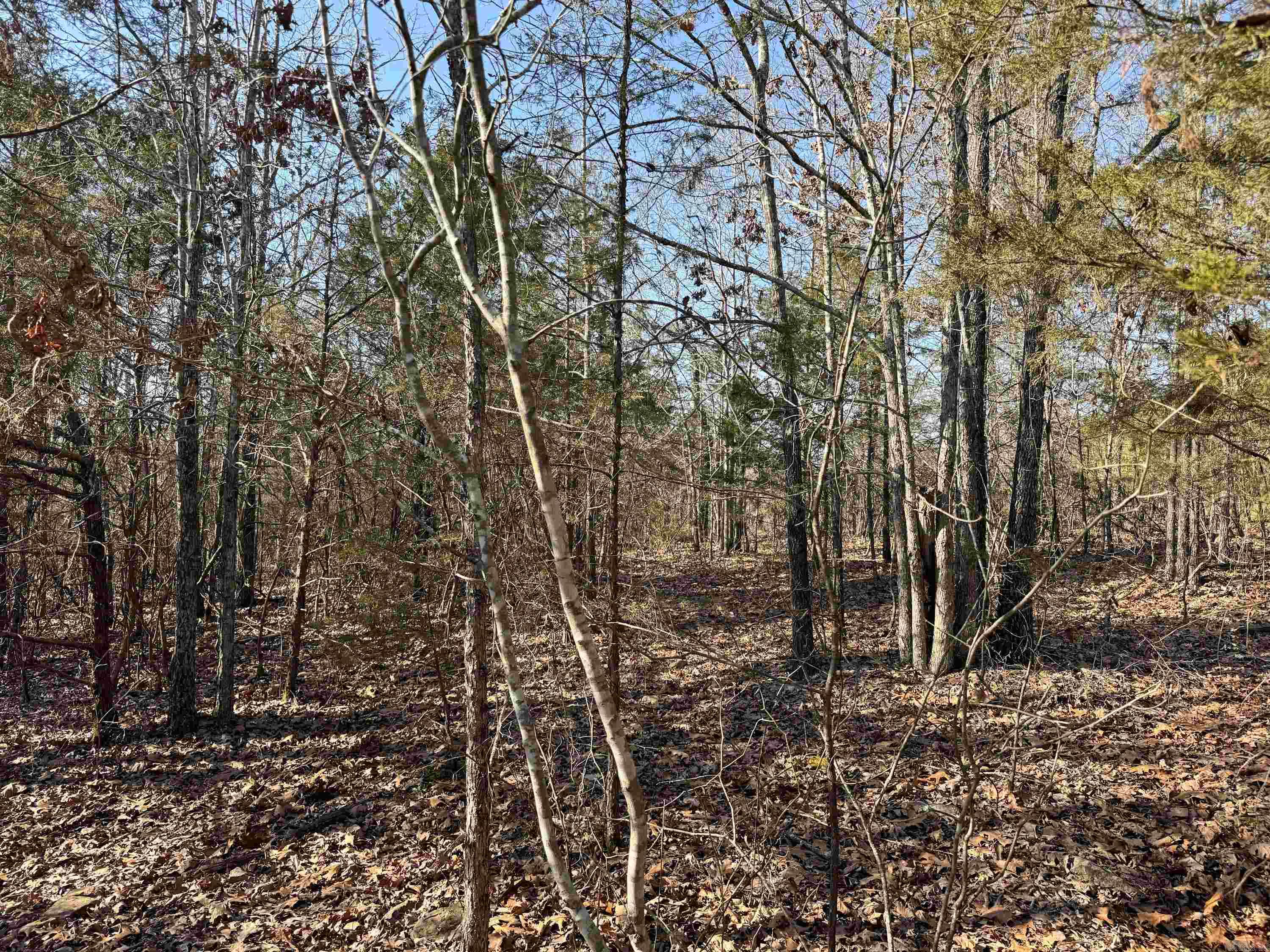 100 Guy  Quitman, AR