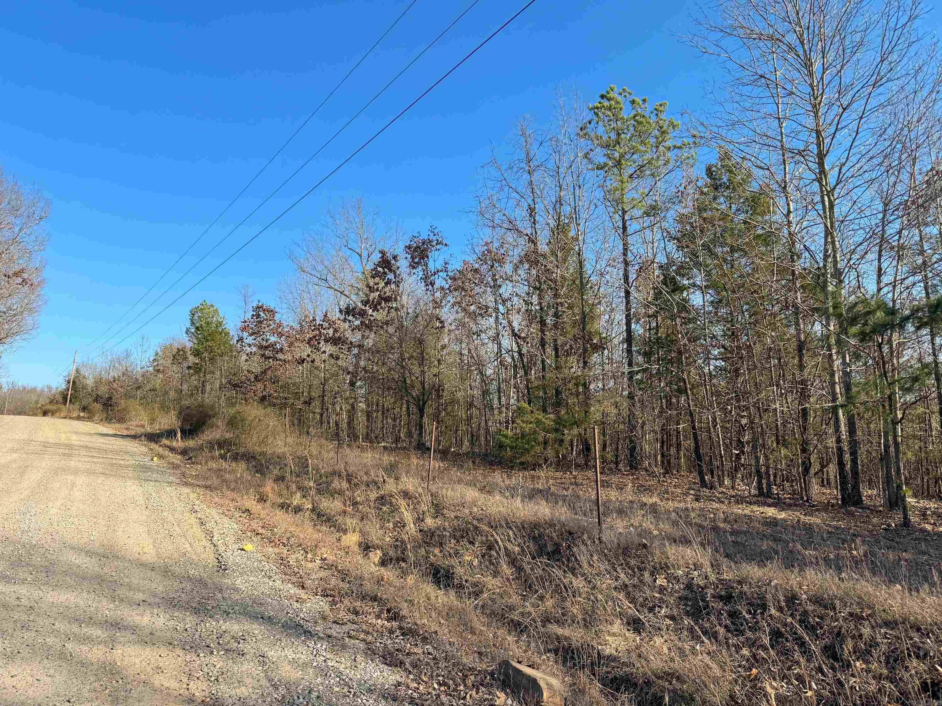 100 Guy  Quitman, AR