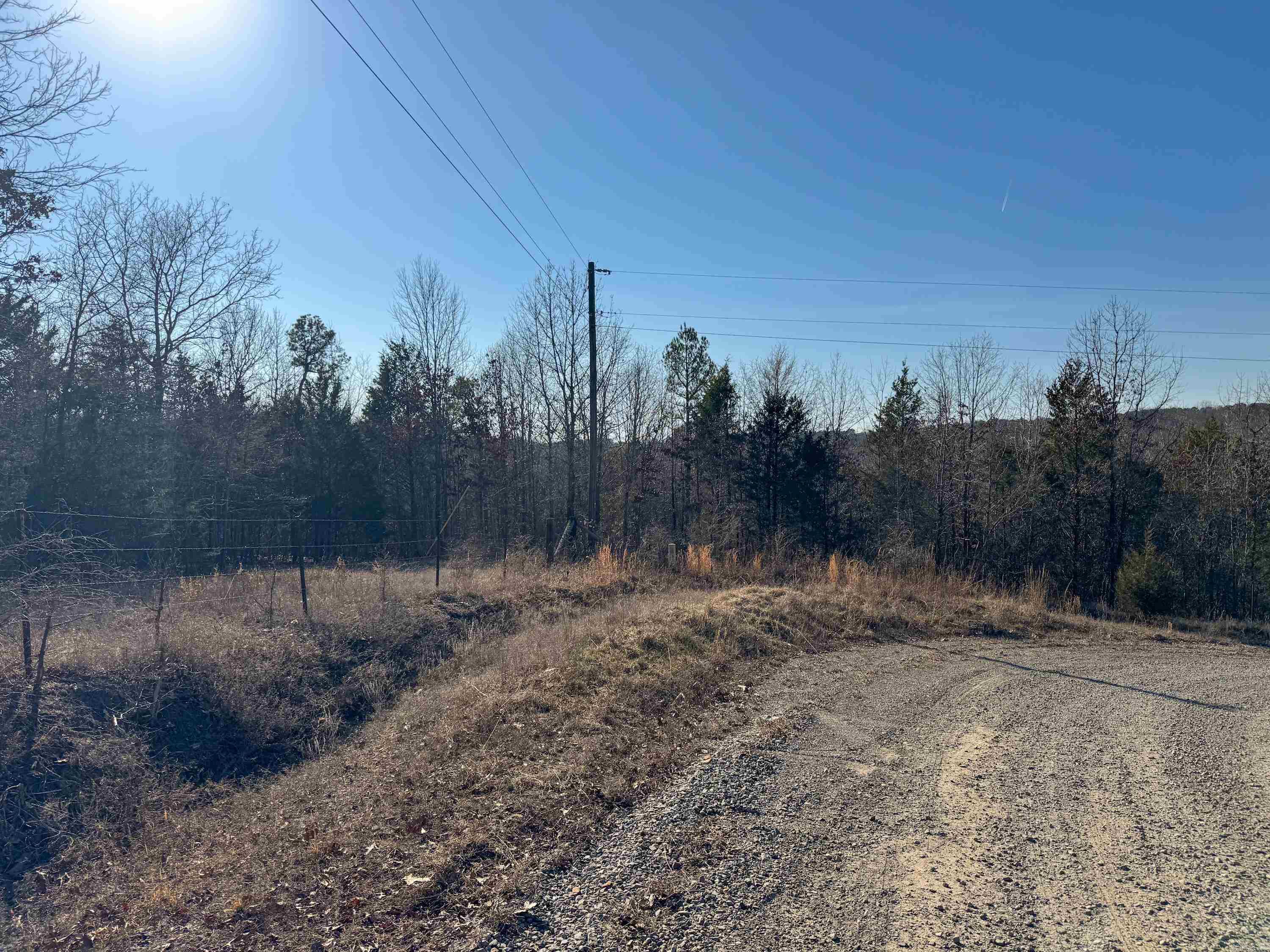 100 Guy  Quitman, AR