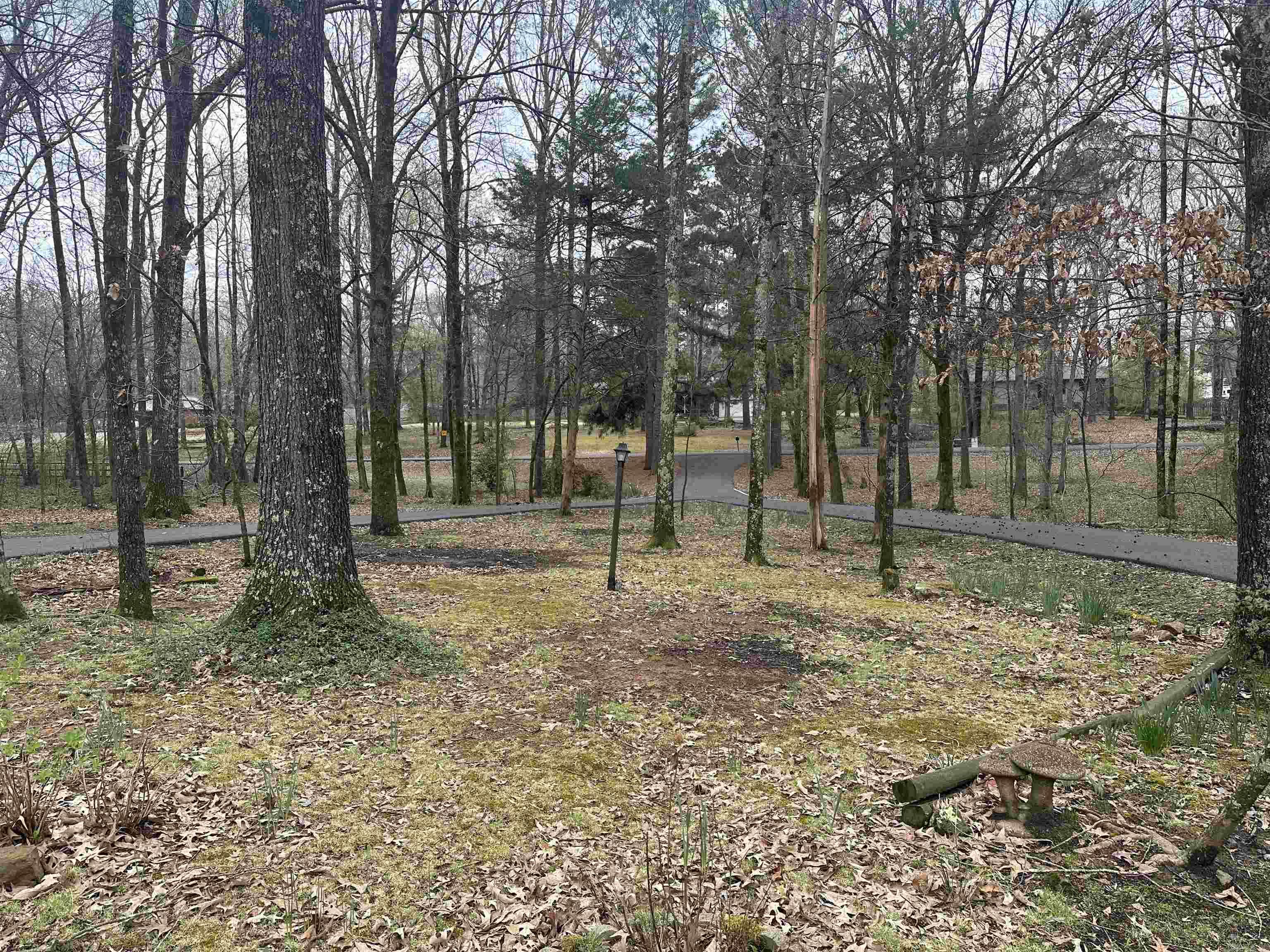 182 Harvest Lane Austin, AR 72007-8838