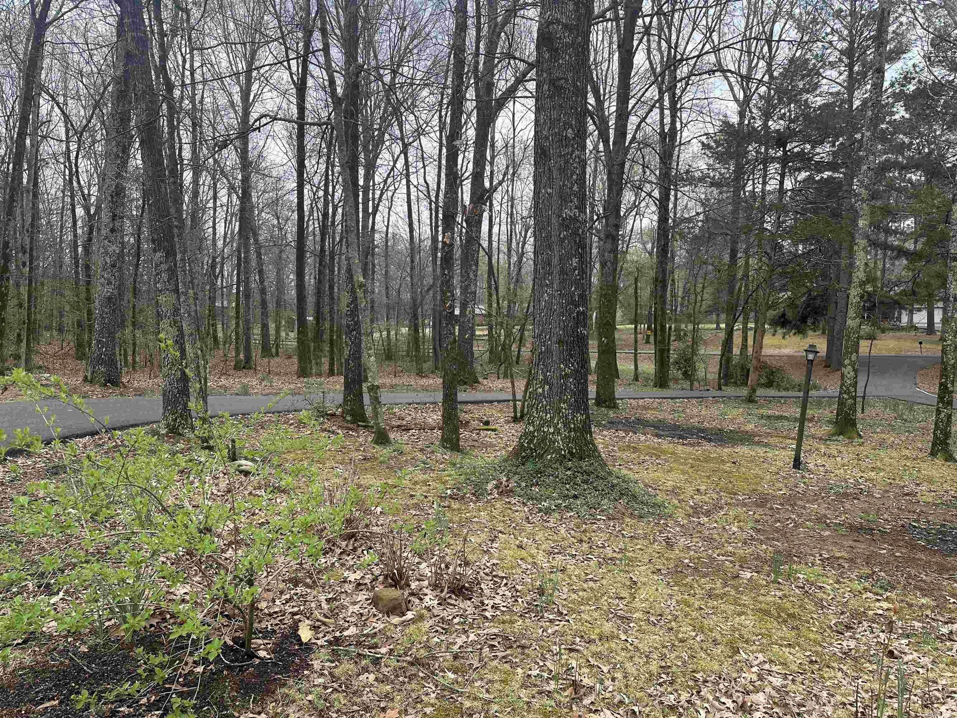 182 Harvest Lane Austin, AR 72007-8838