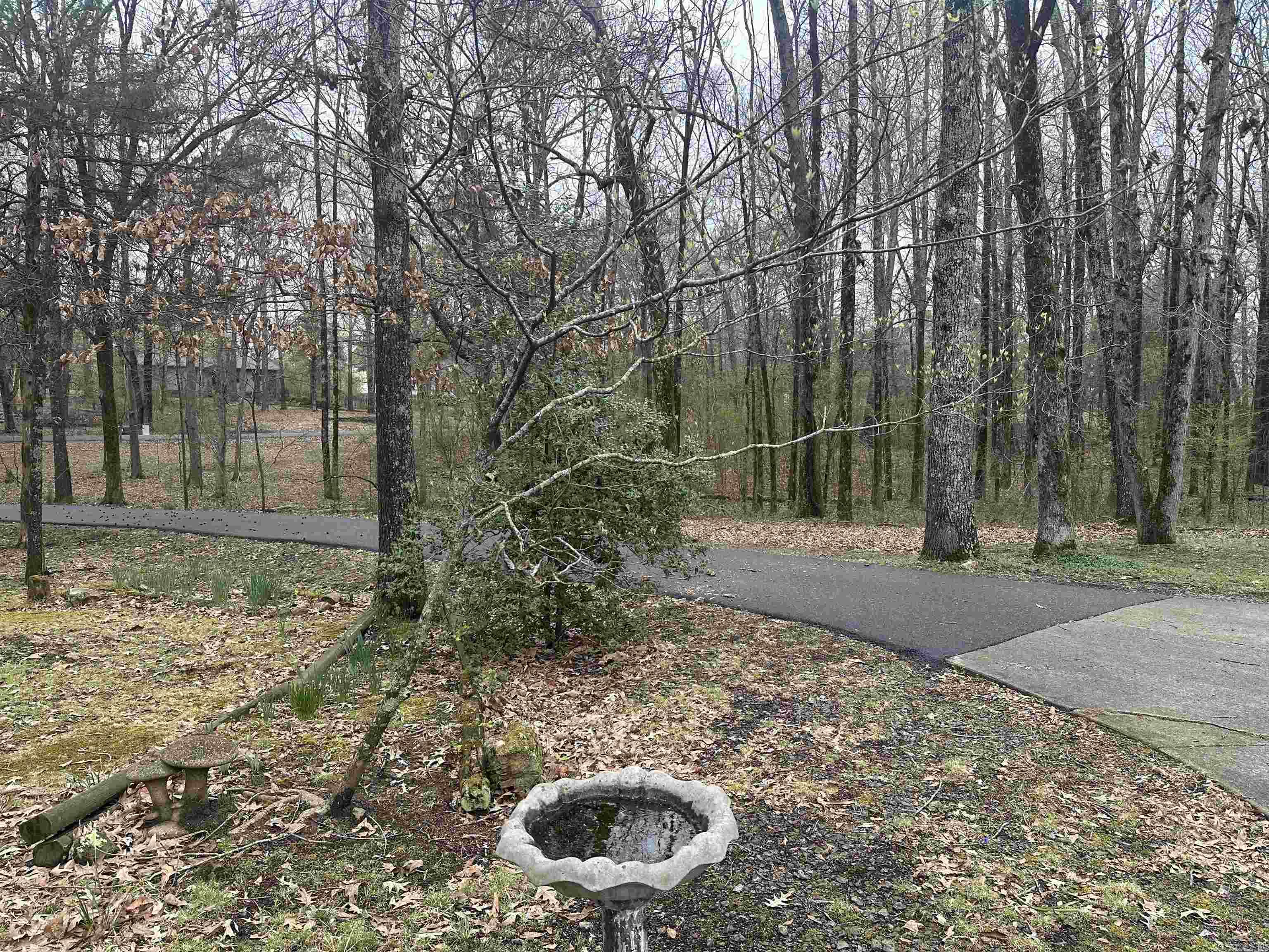 182 Harvest Lane Austin, AR 72007-8838