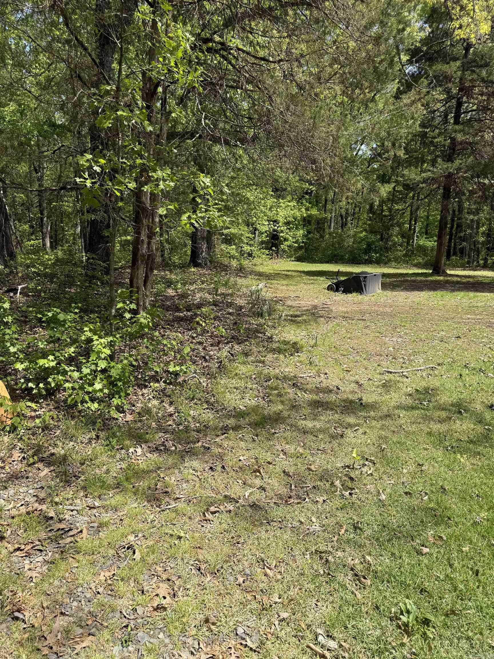 182 Harvest Lane Austin, AR 72007-8838