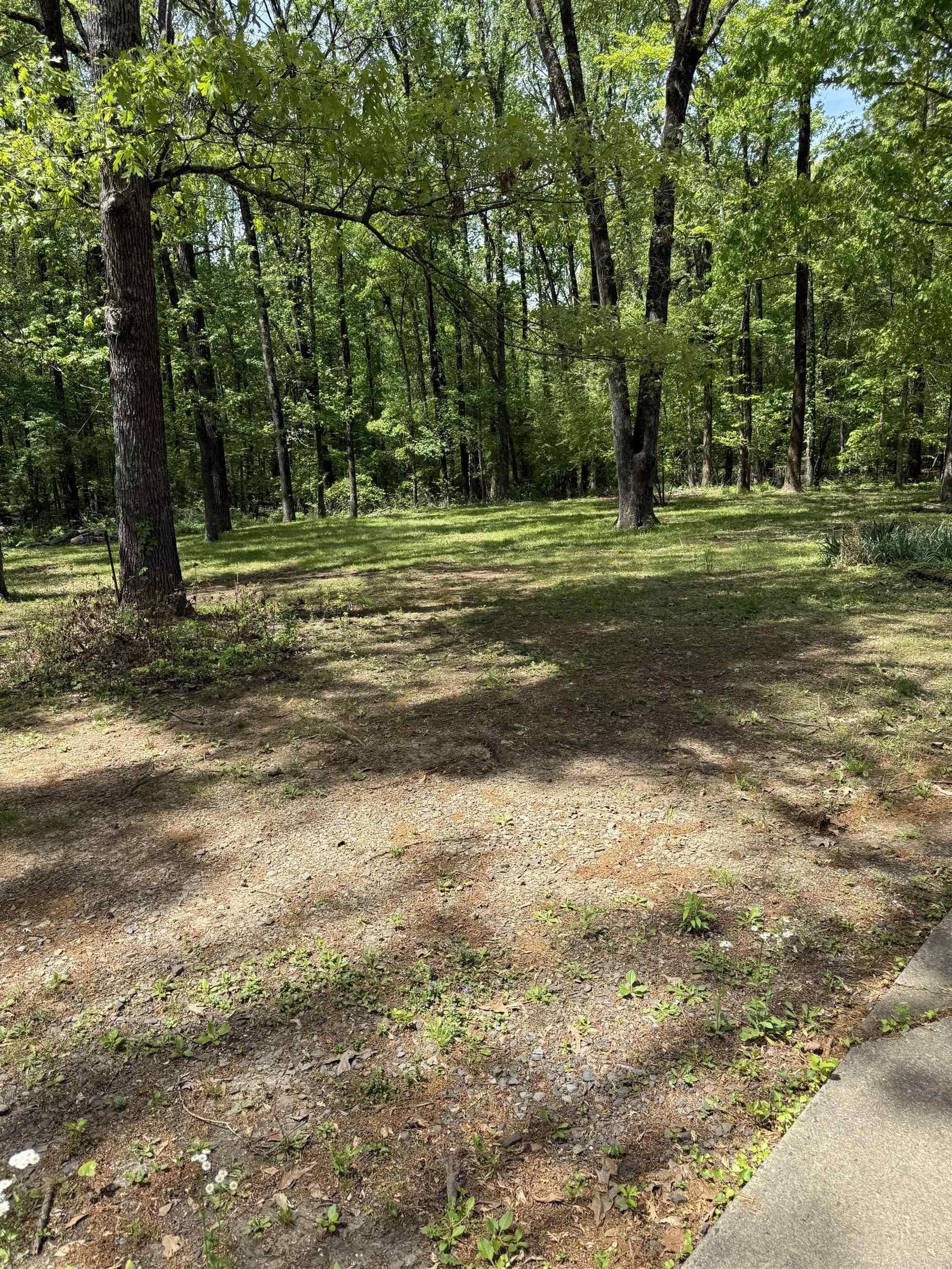 182 Harvest Lane Austin, AR 72007-8838