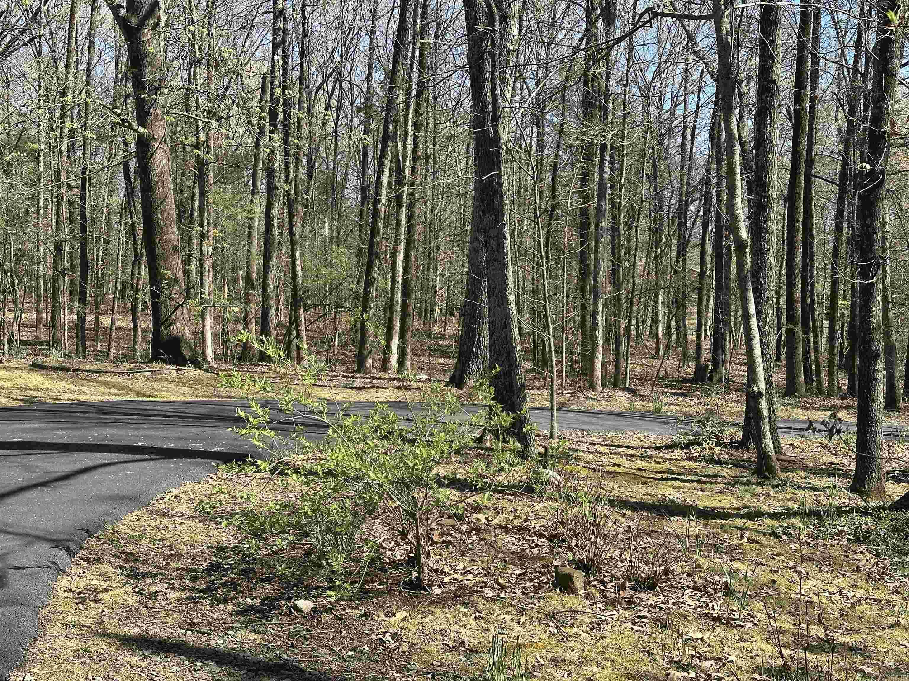 182 Harvest Lane Austin, AR 72007-8838