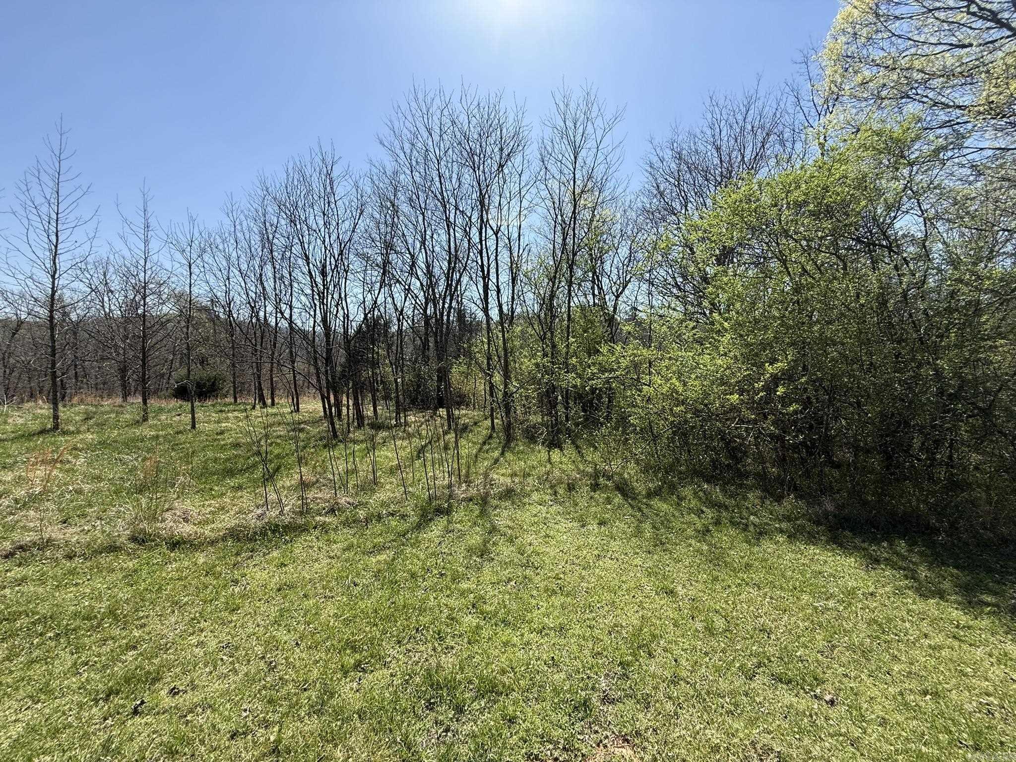 4691 Albert Pike 4693 Albert Pike Caddo Gap, AR