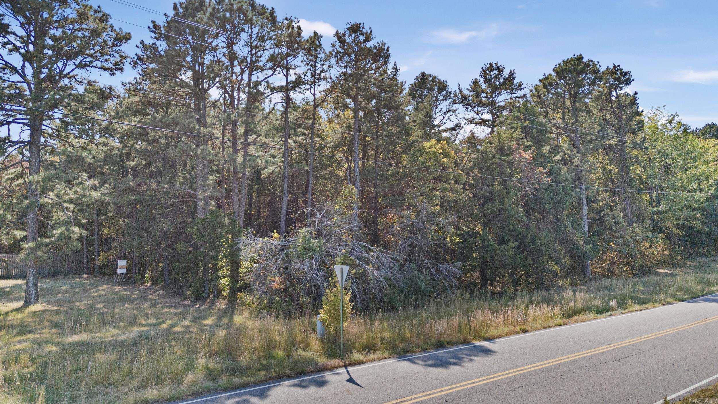 LOTS 80,81,234 Cliff  Russellville, AR